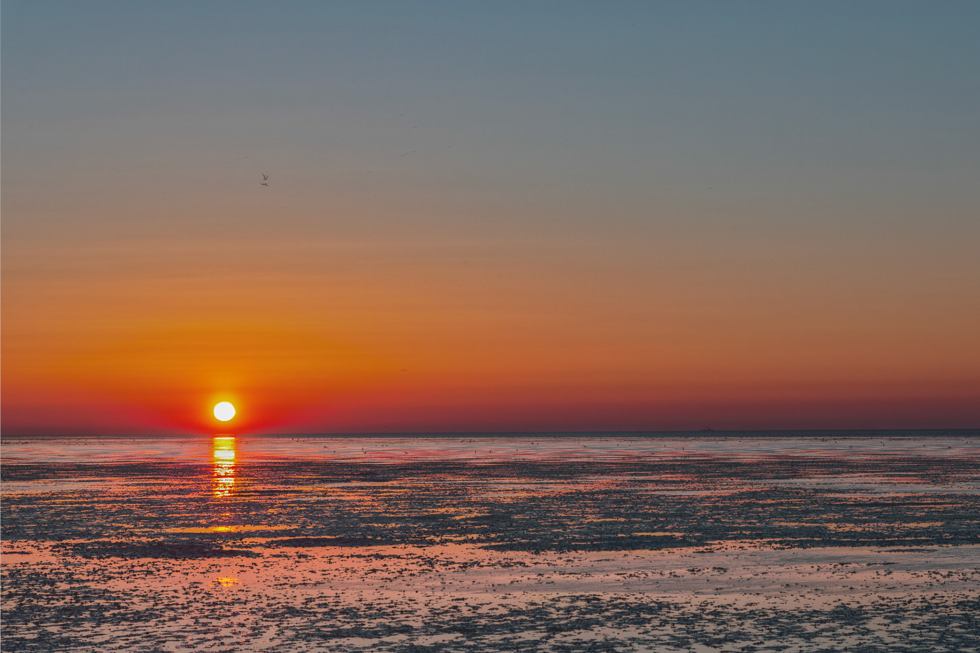 zonsopkomst Waddenzee Texel