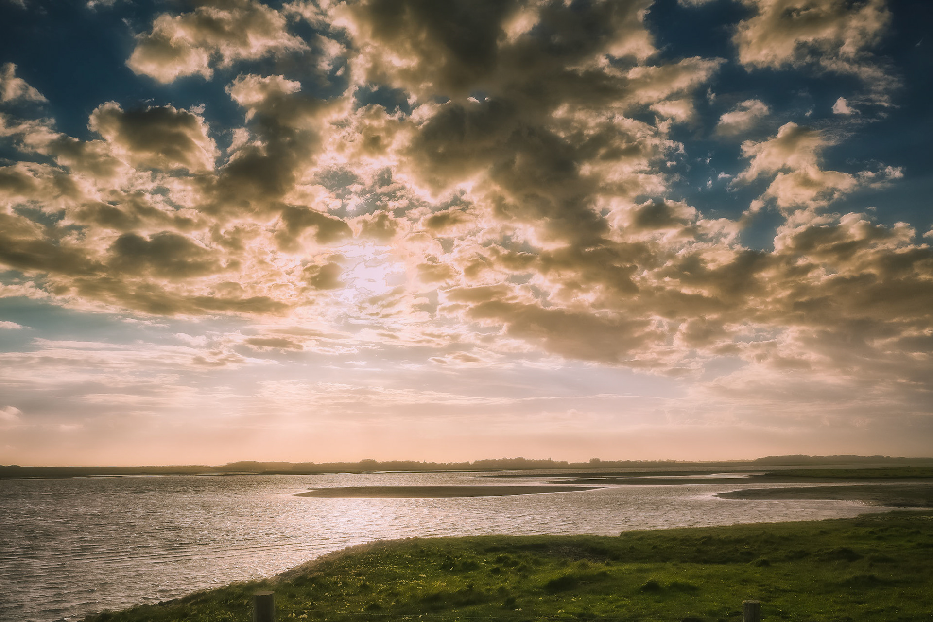 zeeland Plan tureluur