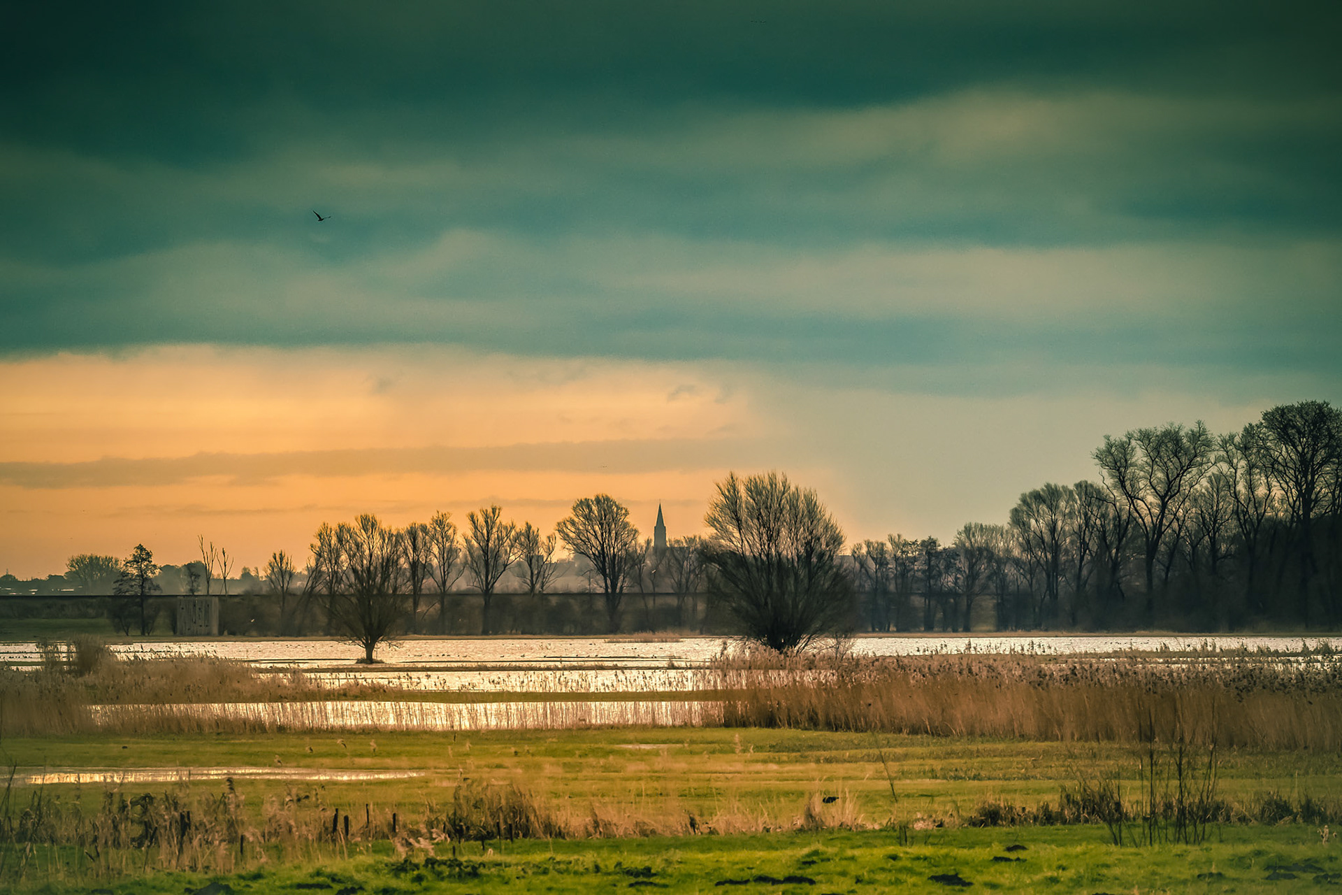 Ijzerbroeken nabij Lo-Rening