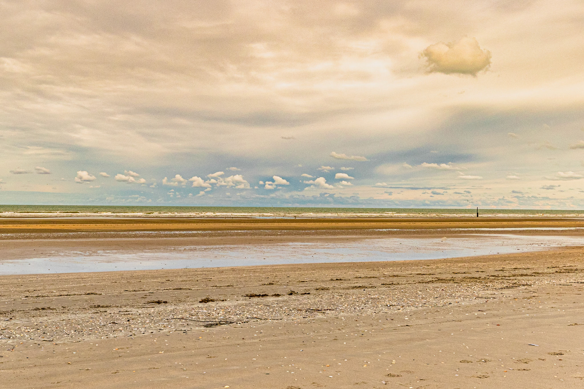 Westhoek reservaat De Panne