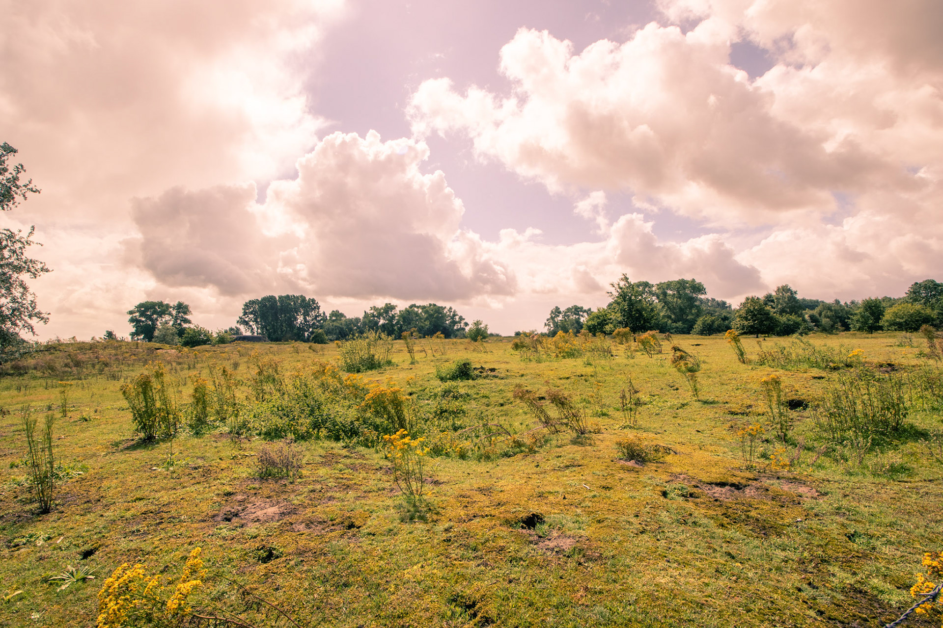 cabourduinen Addinkerke- Ghyvelde