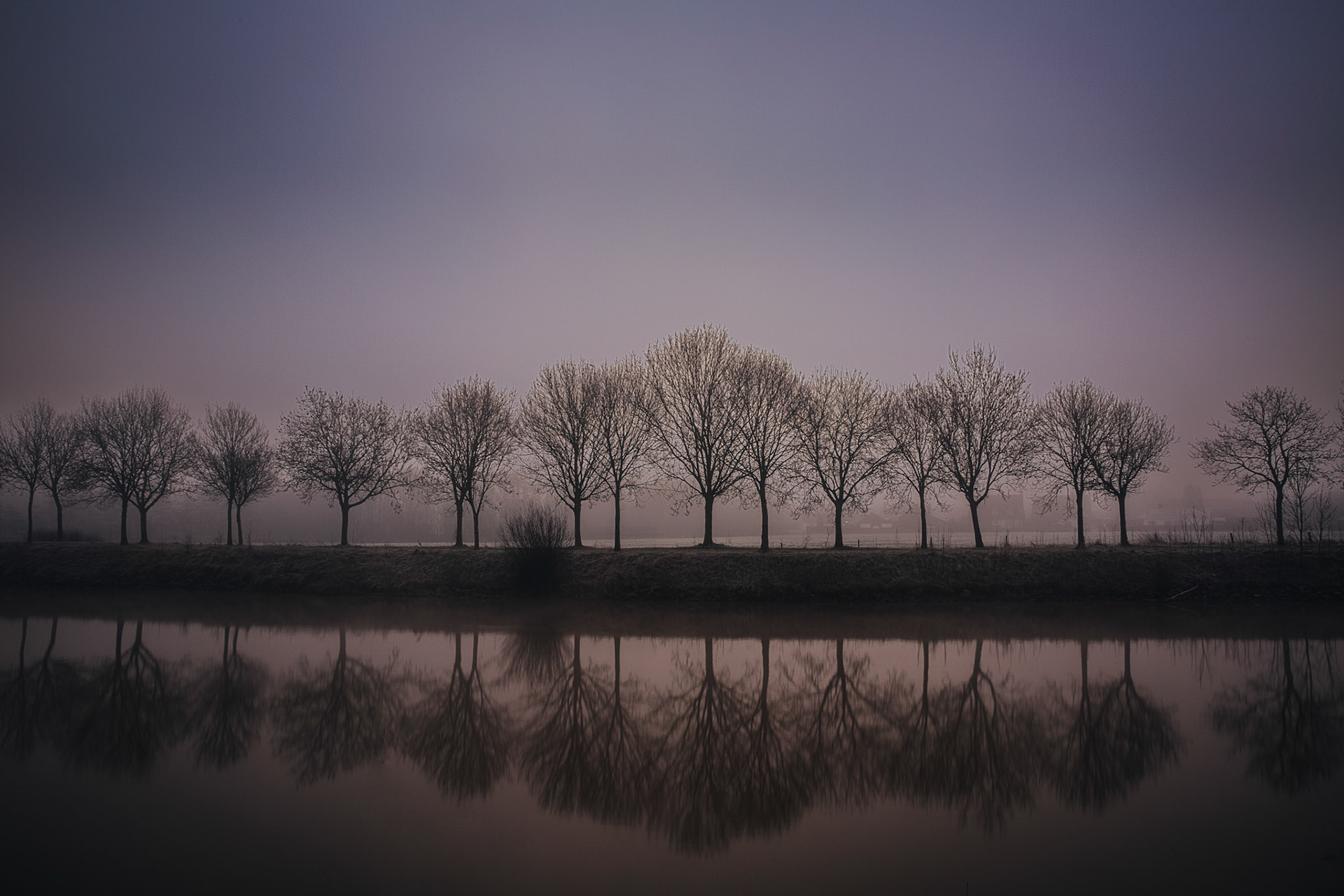 Mistige ochtend aan de Leie Wevelgem