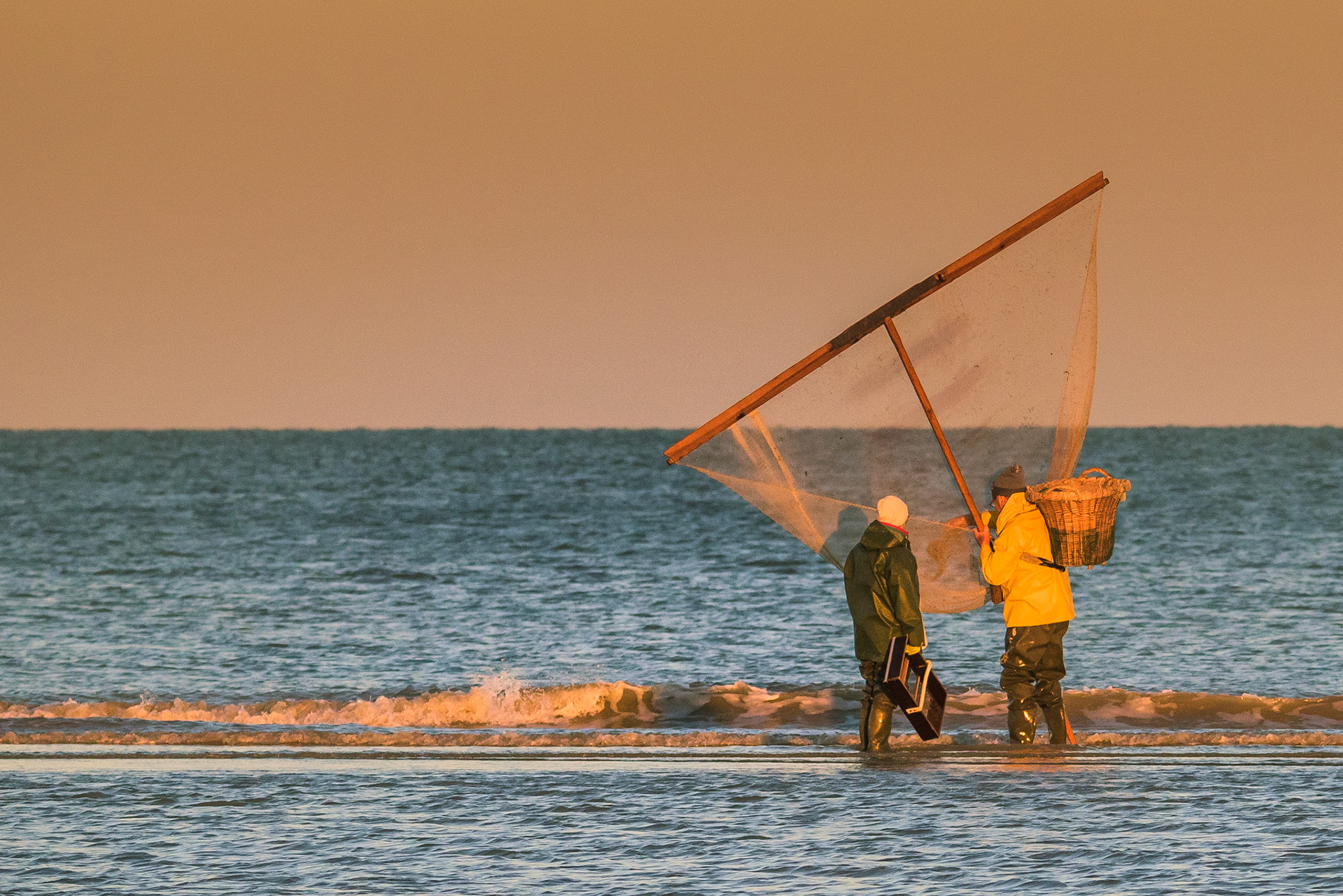 stienesteker vist garnaal