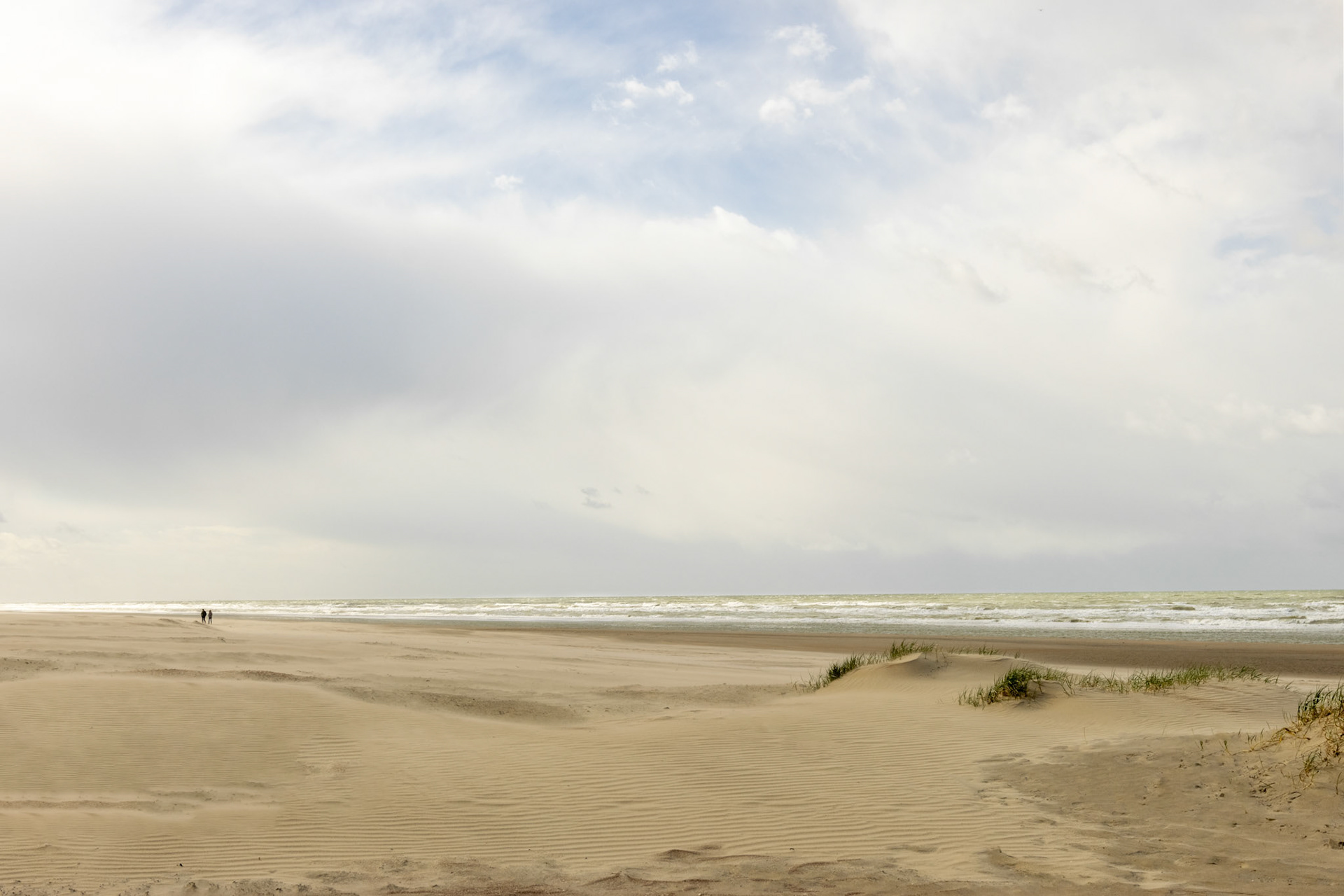 Oostduinkerke aangroei nieuwe duingordel
