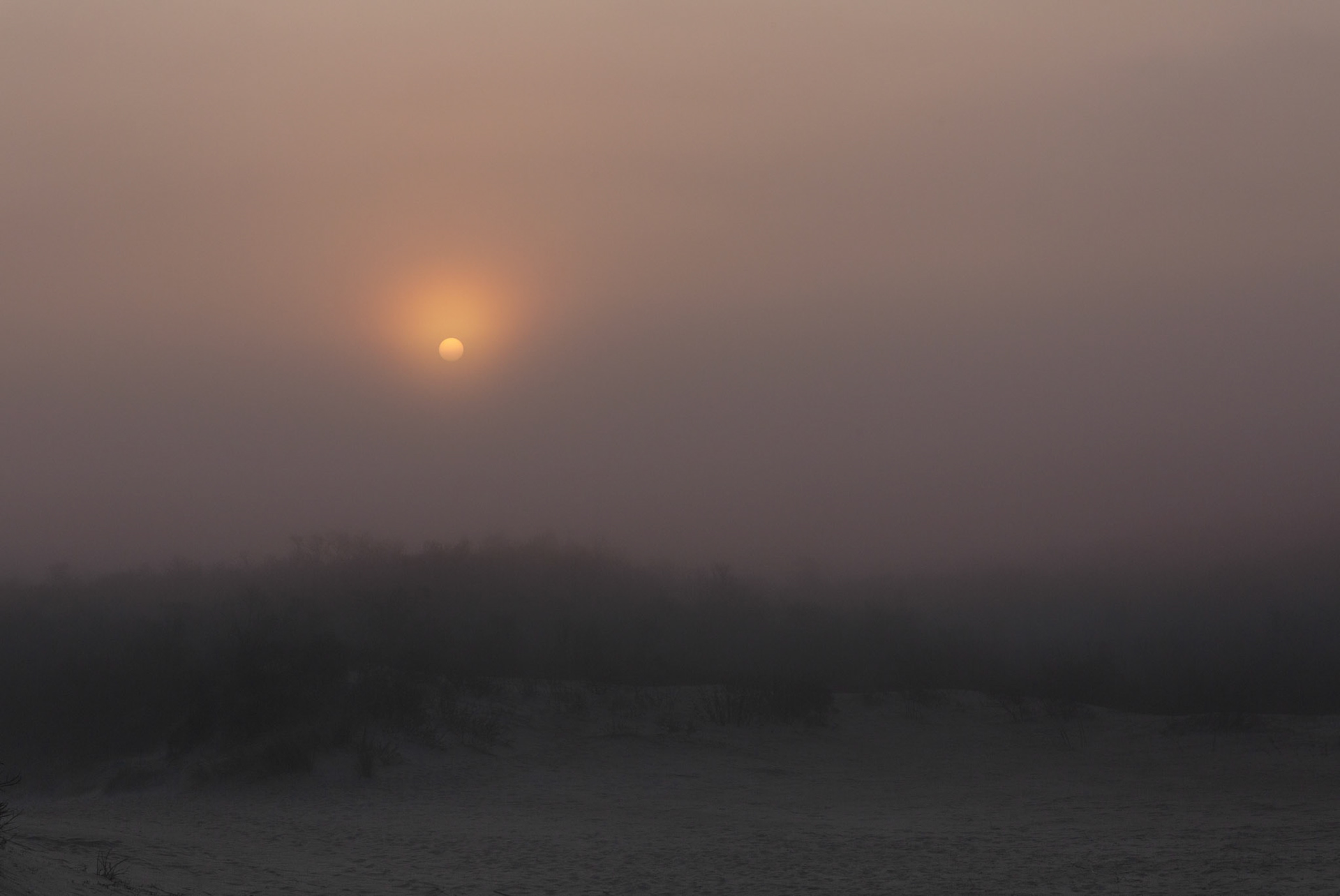 zeemist in de Schipgatsduinen