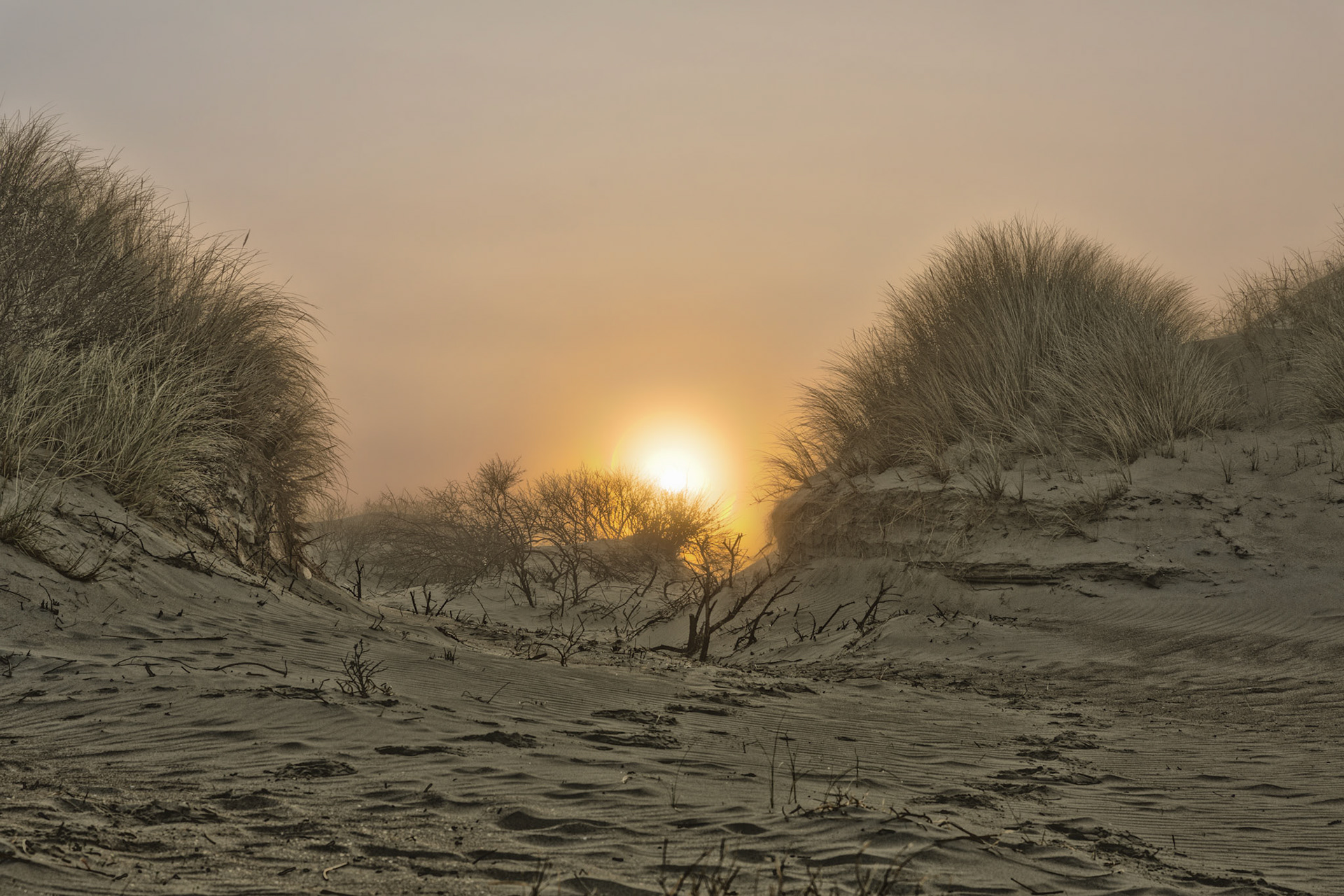 zeemist in de Schipgatsduinen