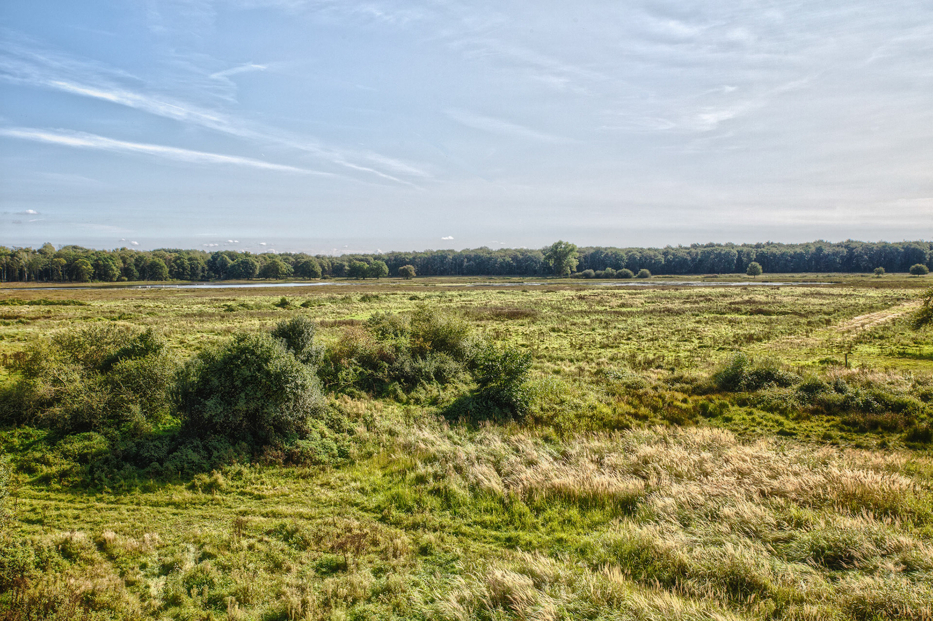 Weerterbos, Weert NL