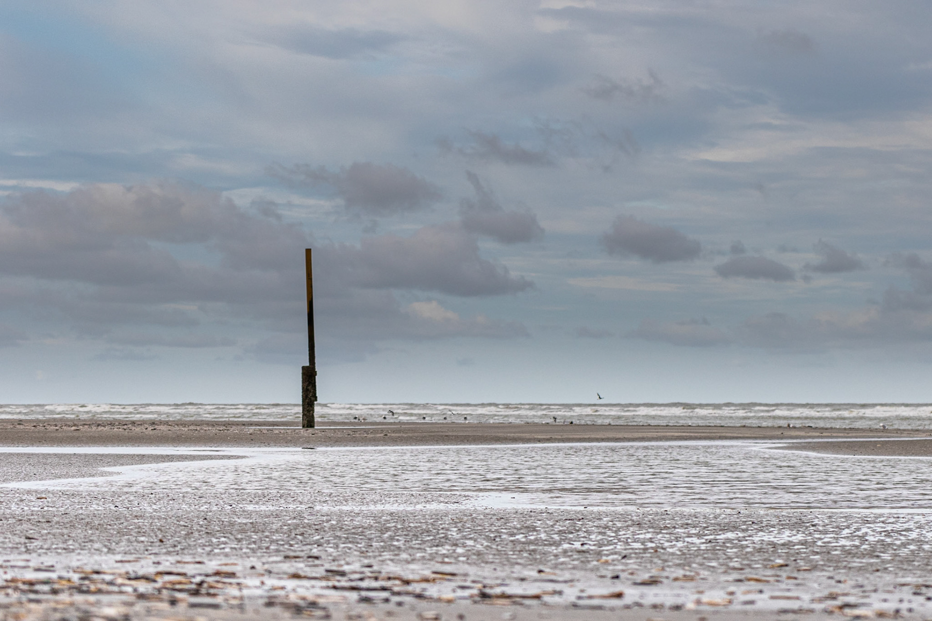 Sint-André, Oostduinkerke