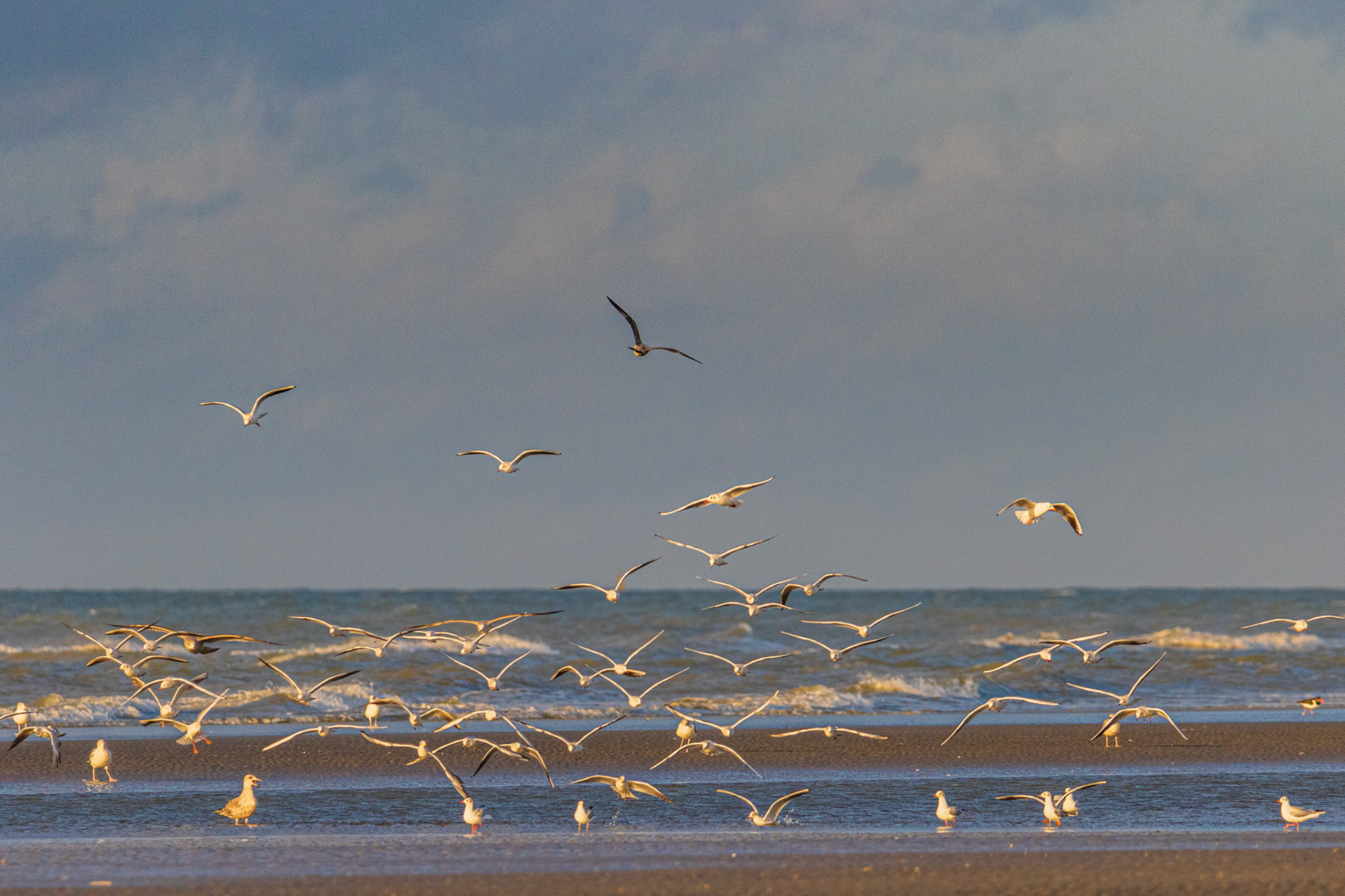 strand in de herfst 