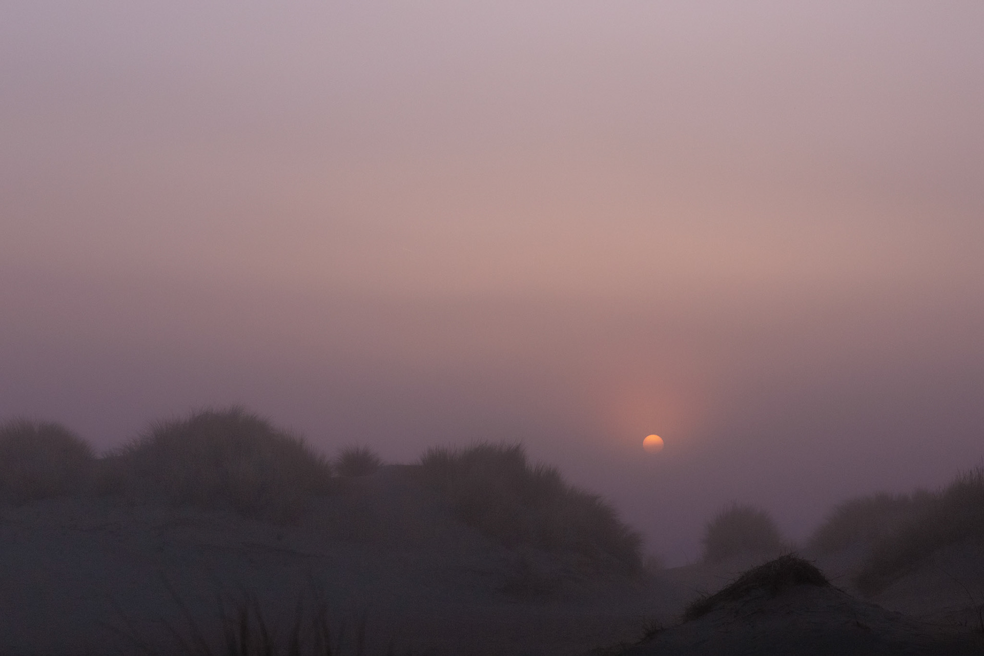 zeemist in de Schipgatsduinen