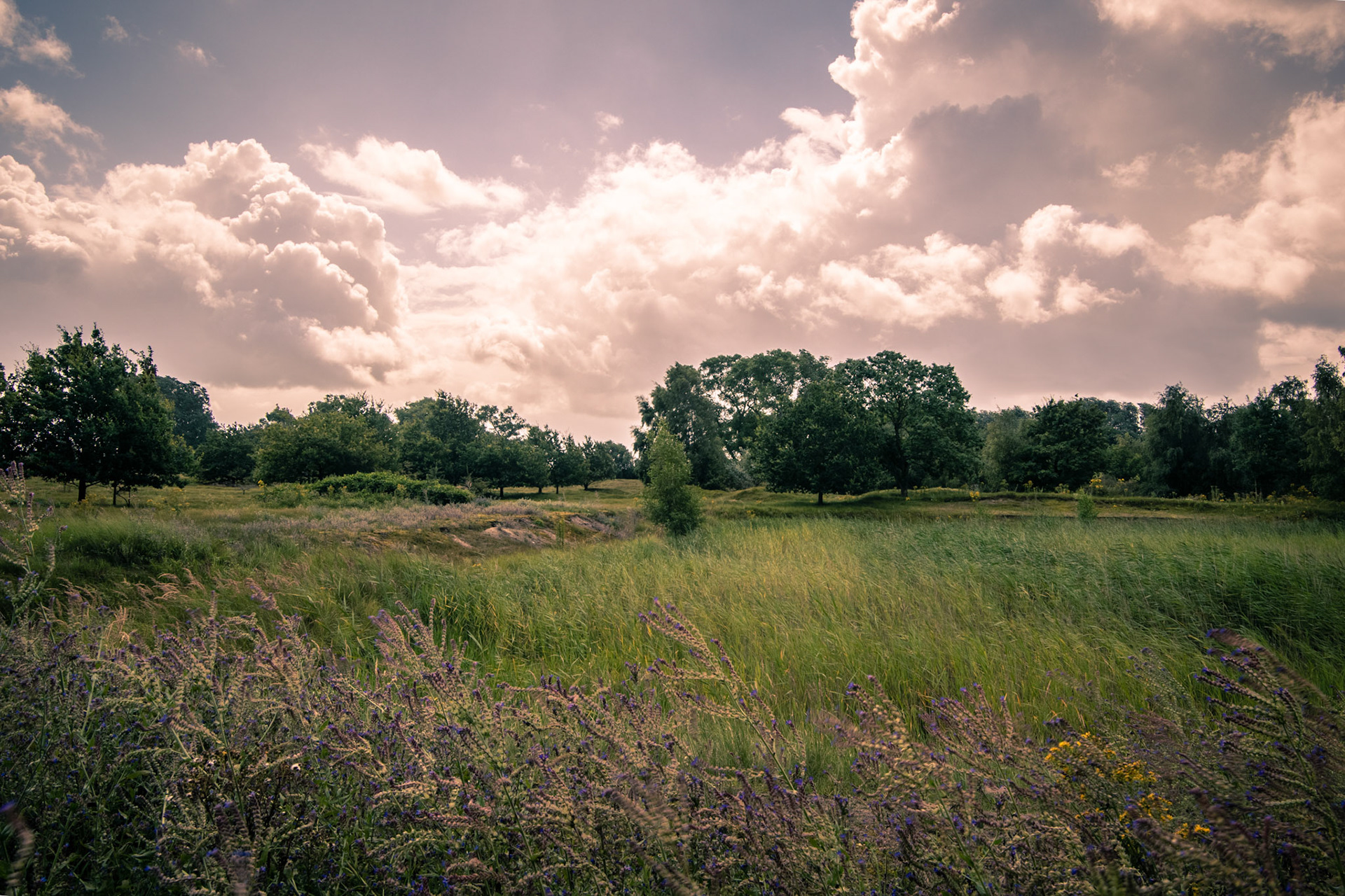 cabourduinen Addinkerke- Ghyvelde