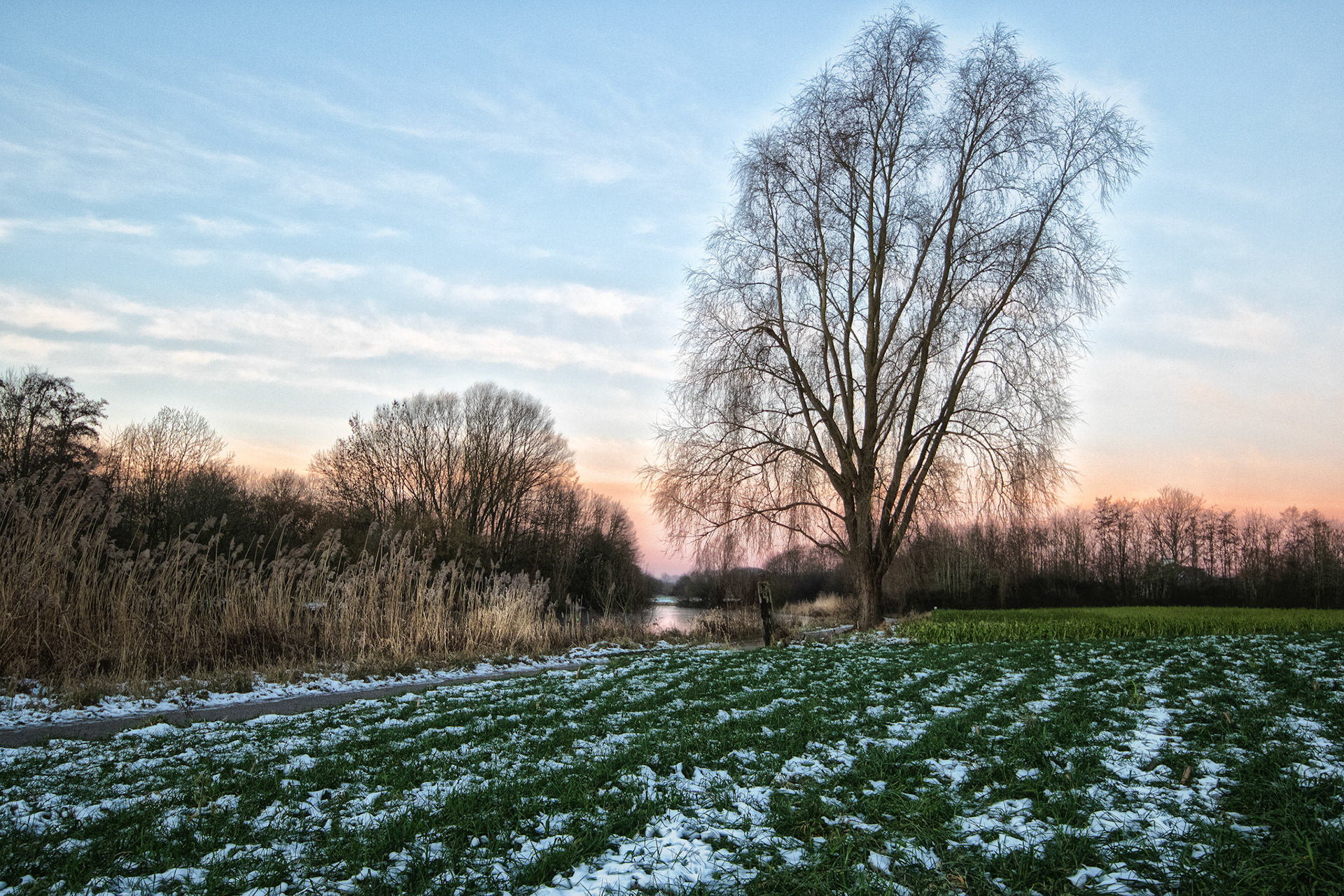 ijzige morgen aan de Leie te Wevelgem