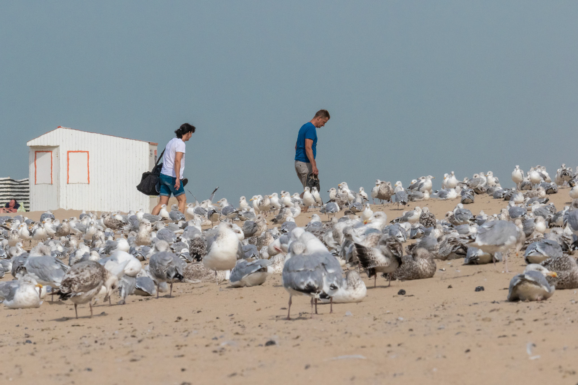 de laatste toeristen verlaten het strand
