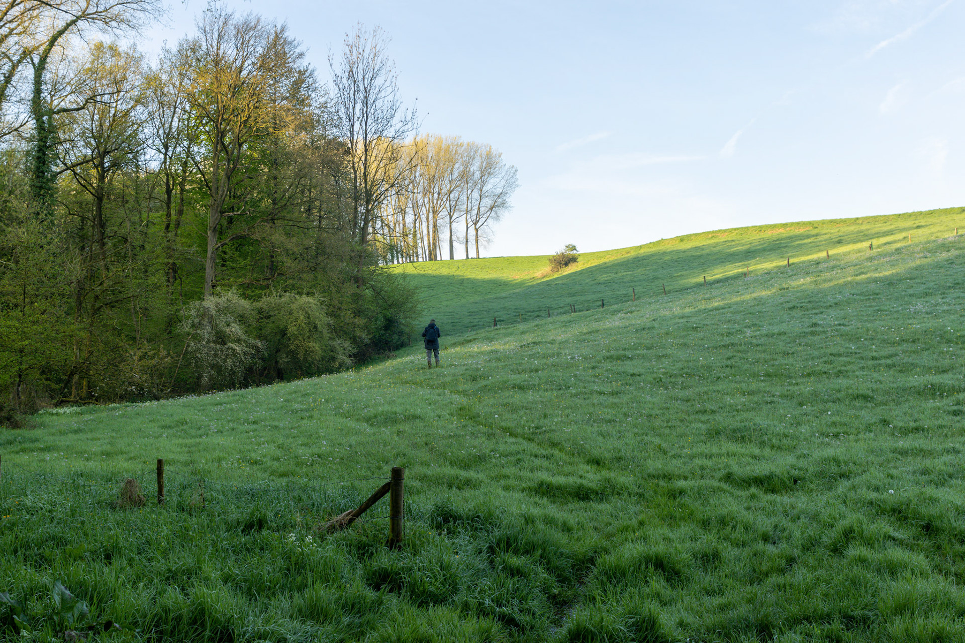 Burreken Vlaamse Ardennen