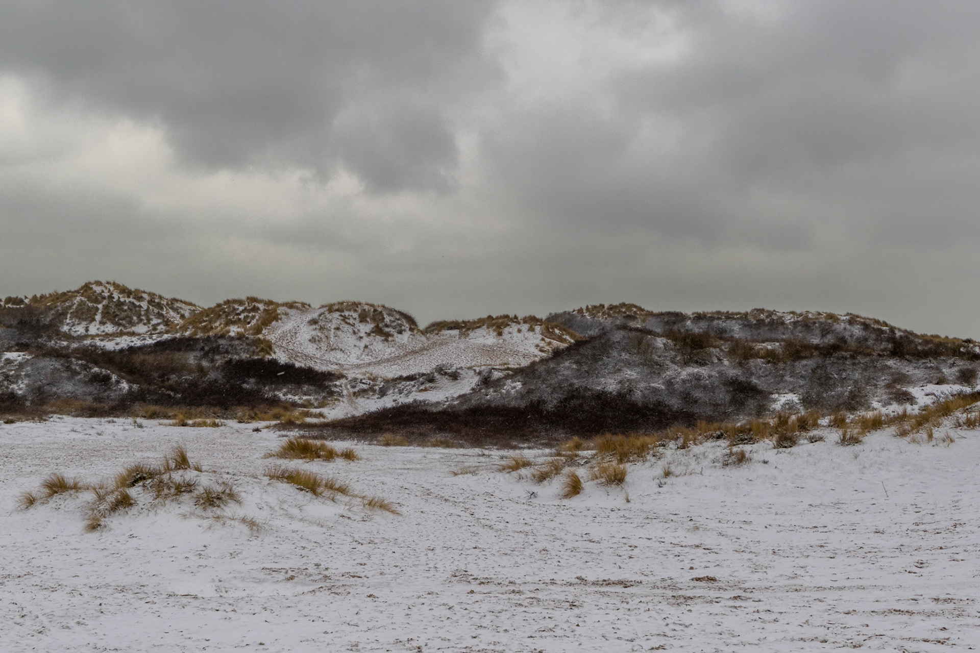 sneeuw in het Schipgat te Oostduinkerke
