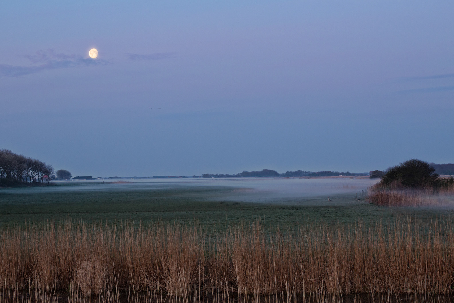 de nacht sluipt weg op Texel
