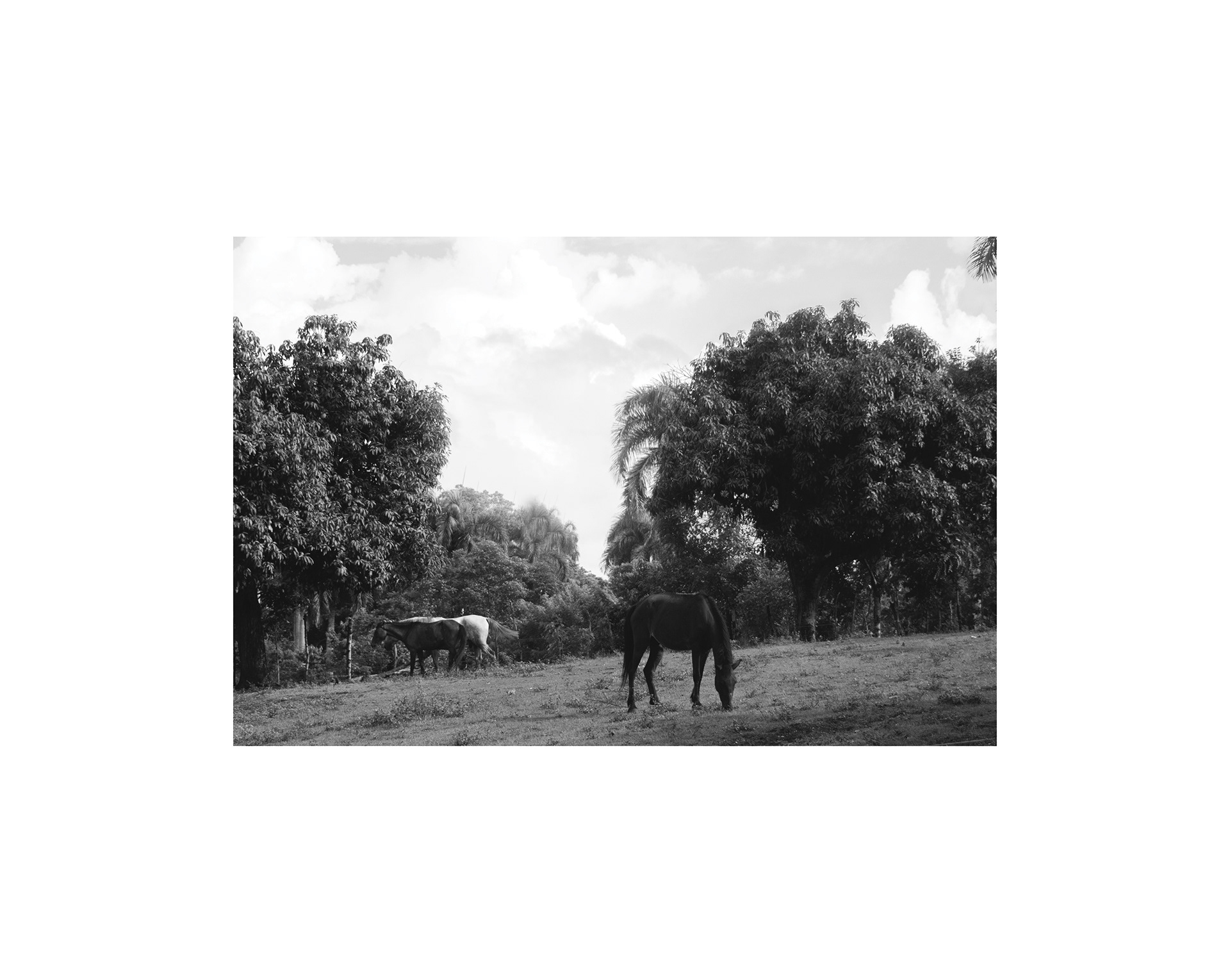 Dominican Republic