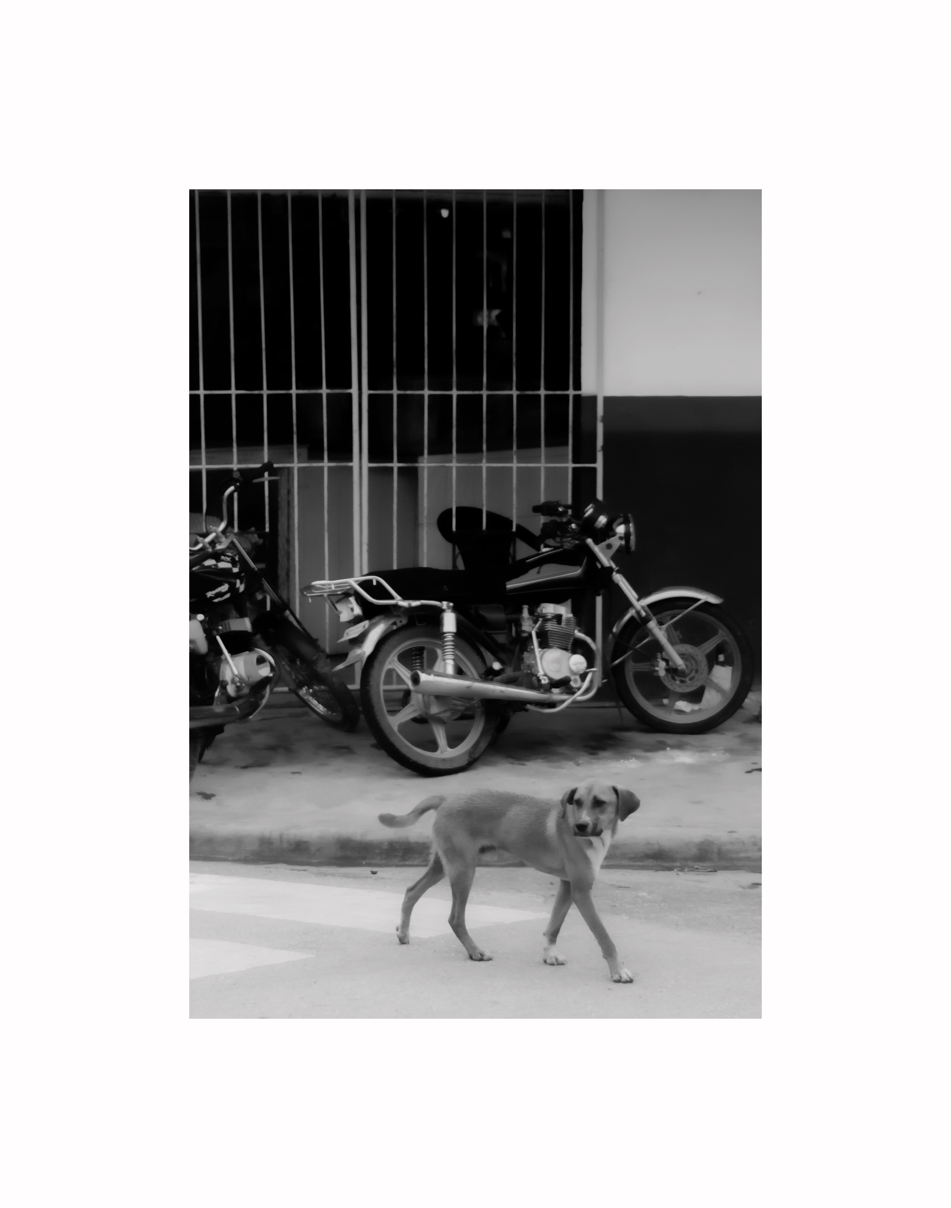Dominican Republic