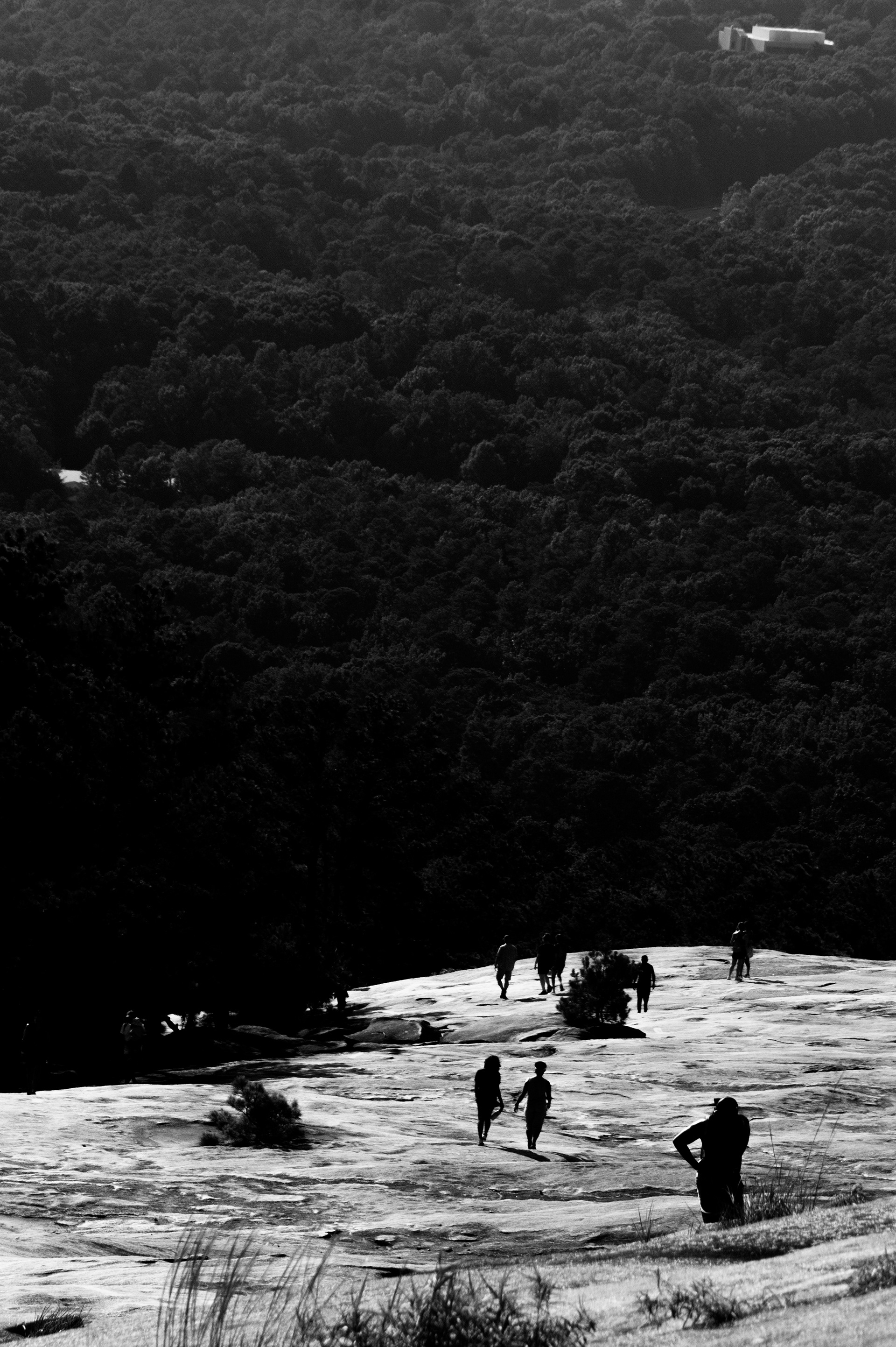 Stone Mountain