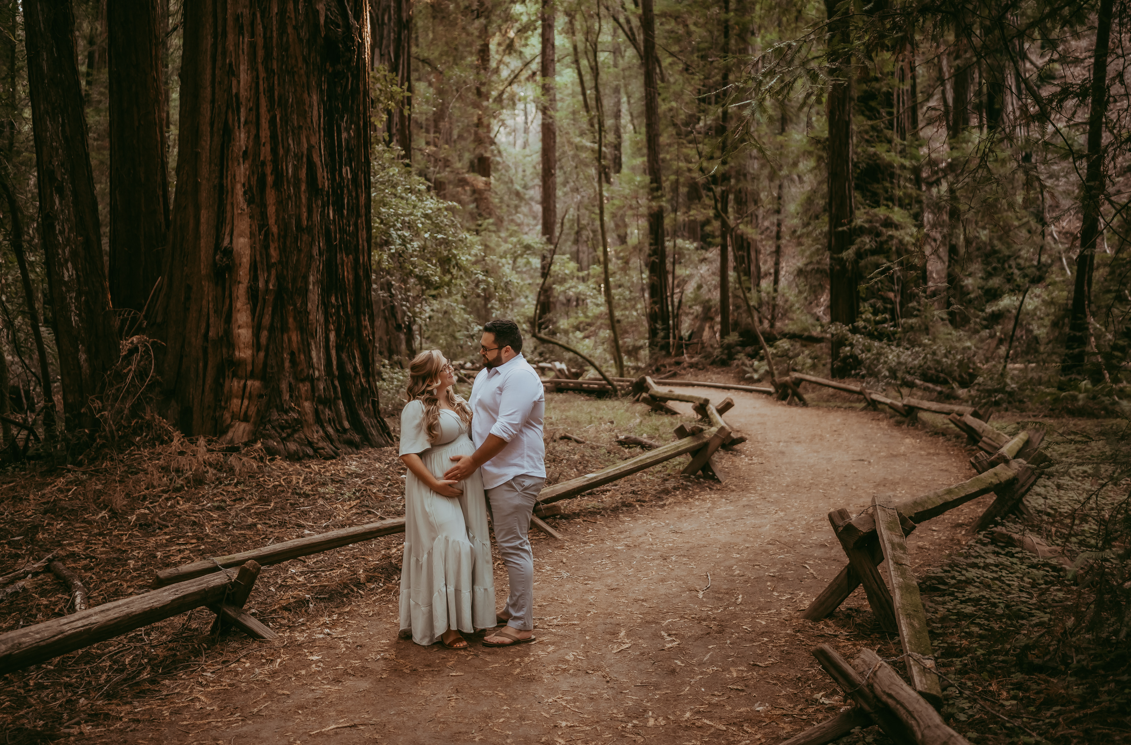 Armstrong Redwoods State Natural Reserve