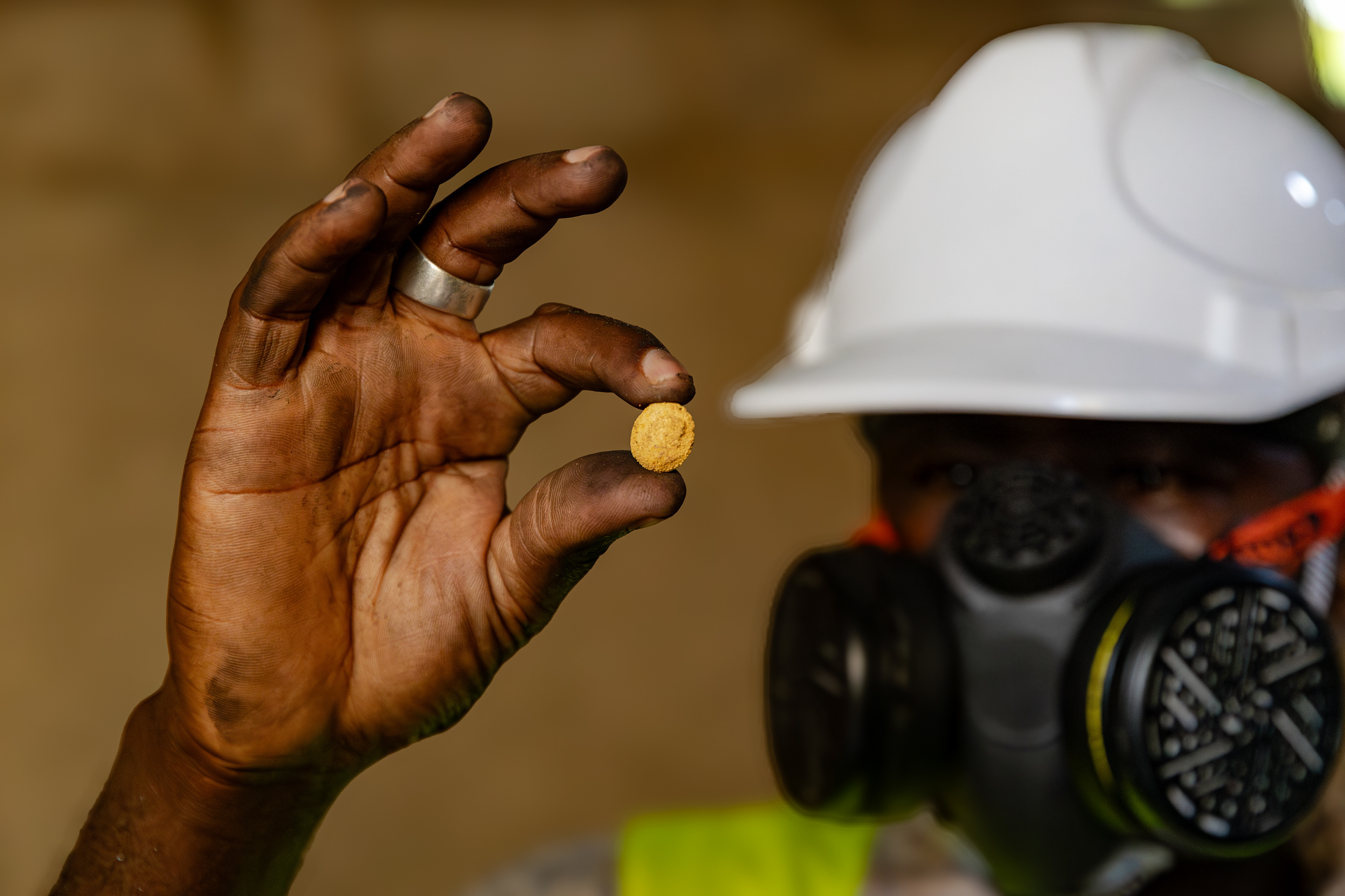 The concentrated material that will later be transformed into gold.