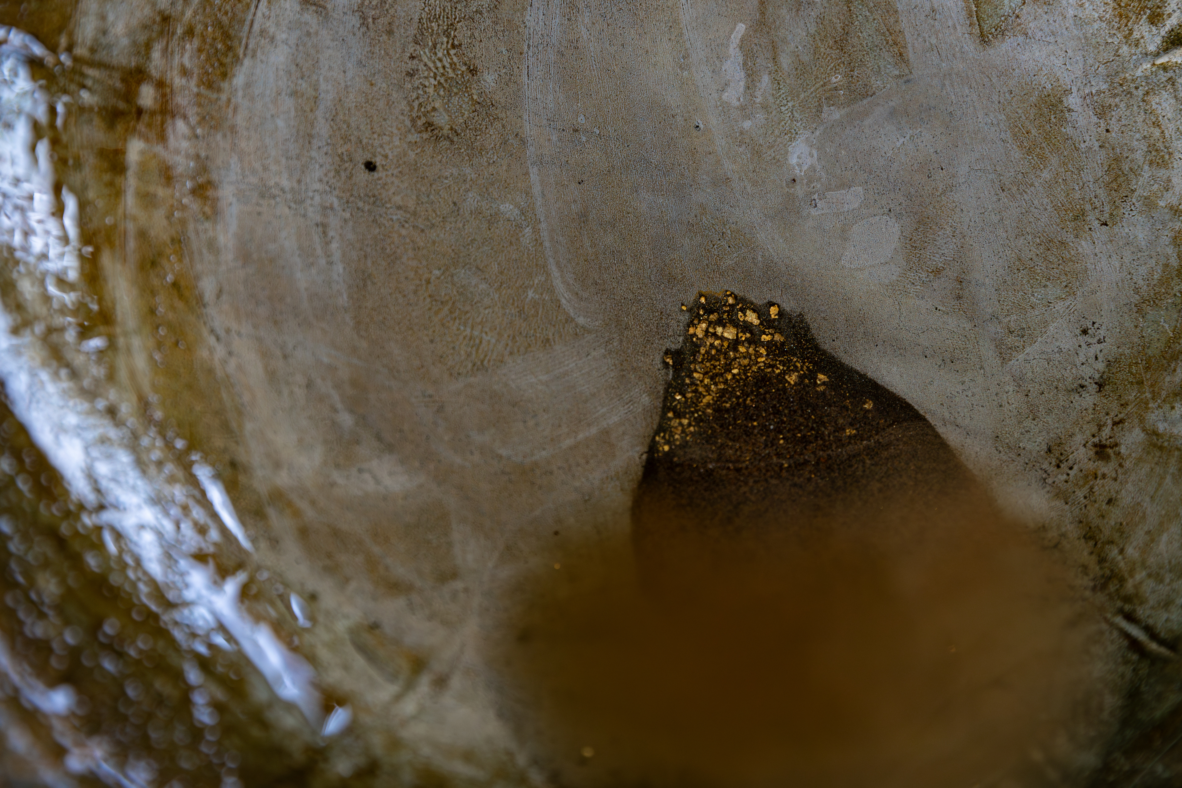 Gold particles collected during the concentration process.