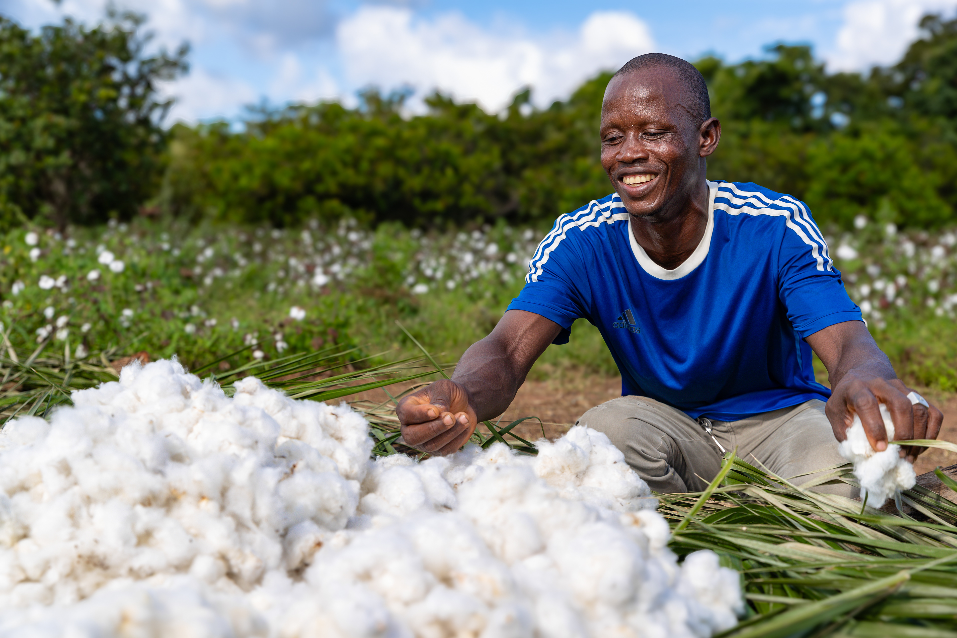 Cotton farmer Soumaïla Bora in Pokoundougou, Côte d’Ivoire, with freshly harvested cotton on October 4, 2024, photographed by Miléquèm Diarassouba for Aid By Trade Foundation, promoting sustainable and equitable cotton farming in West Africa..