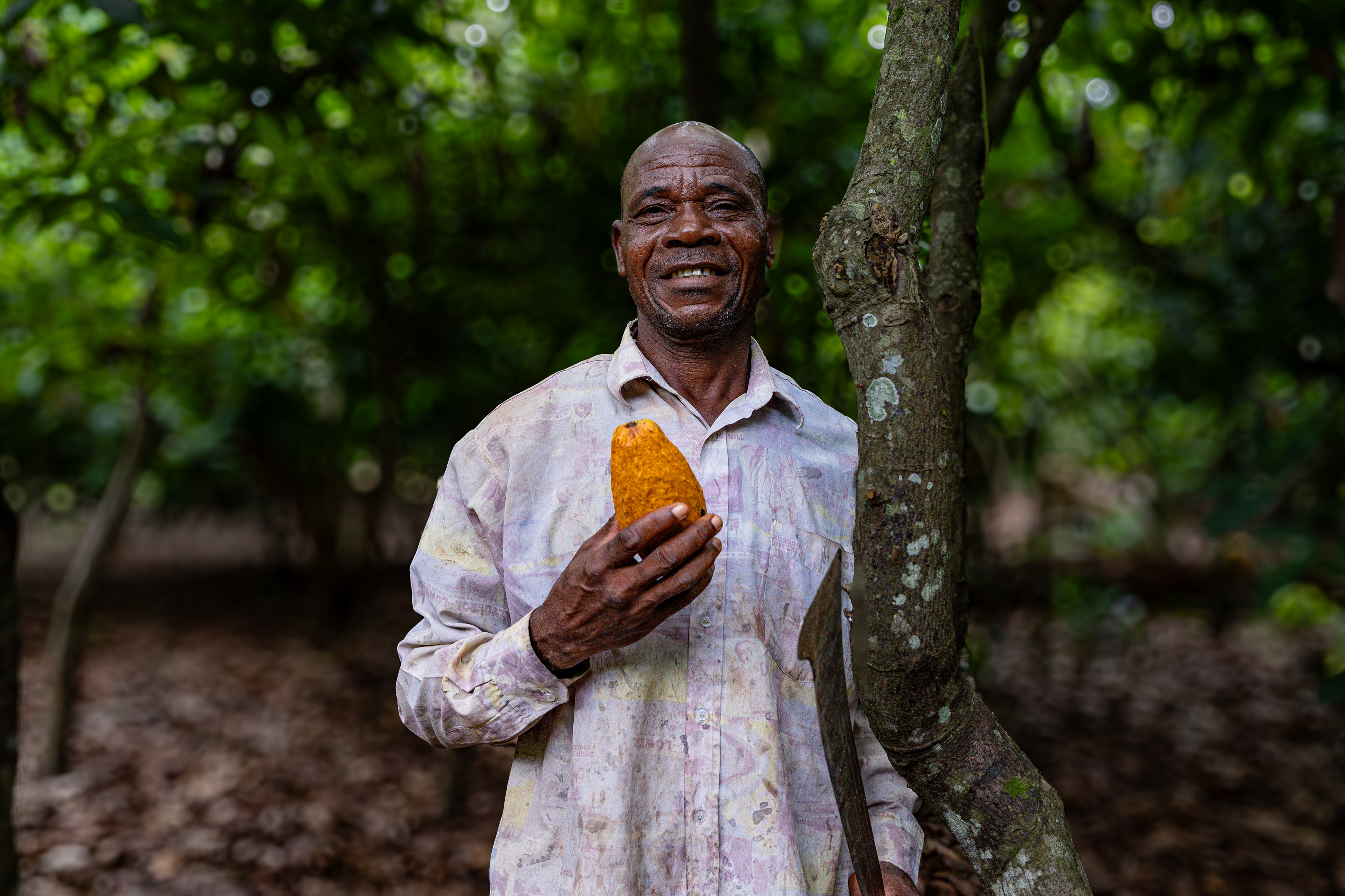 Digbeu Zeze Sylvain, smiling and holding a cocoa pod on his plantation in Zokoguhé, a village 18 km from Daloa in western Côte d'Ivoire on June 29th, 2024.