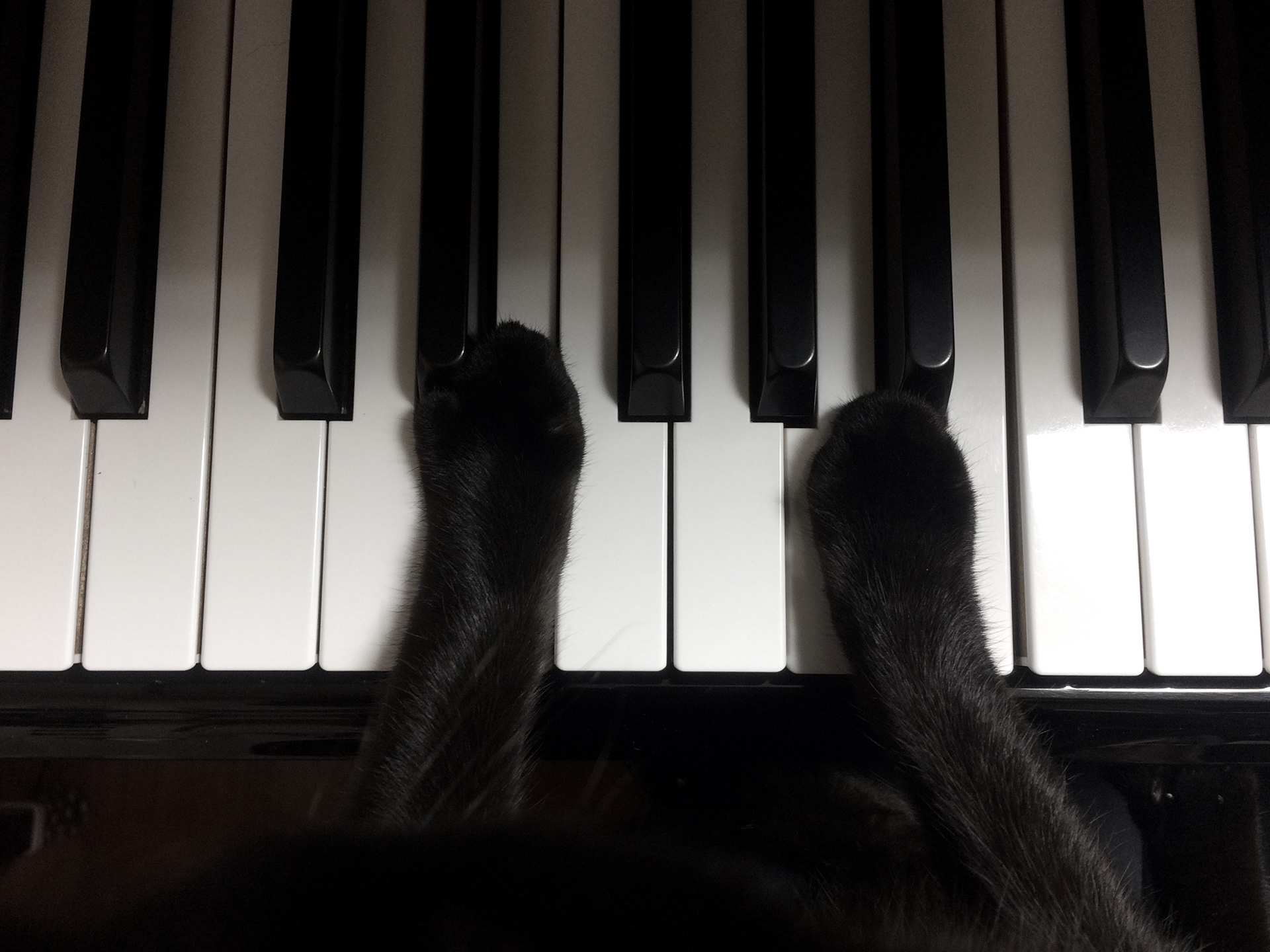 ピアノ中毒研究所