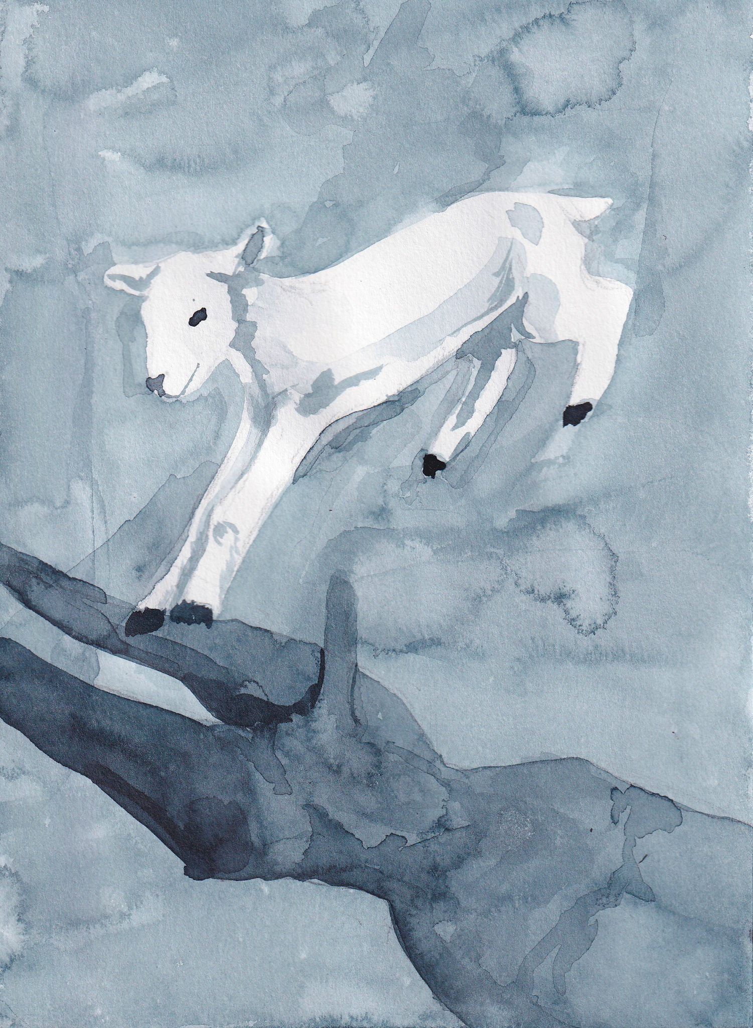 Counting Sheep
