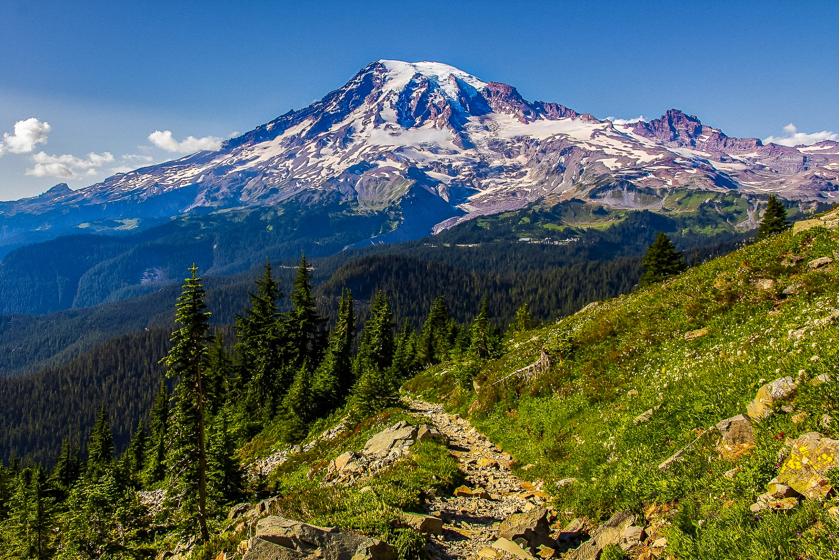 Mt. Rainier from Pinnacle Peak Trail (WA)