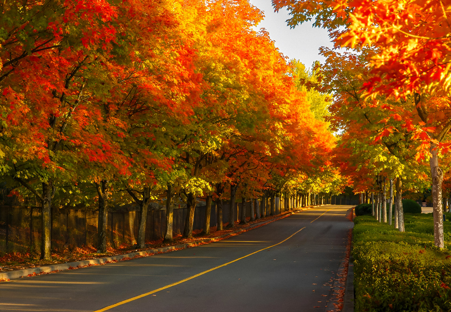 Coulon Park in Renton (WA)