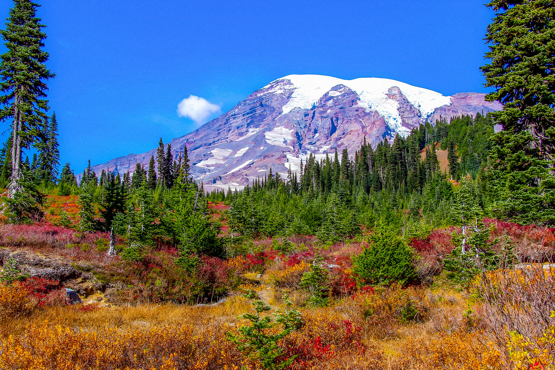 Mt. Rainier Fall Colors (WA)