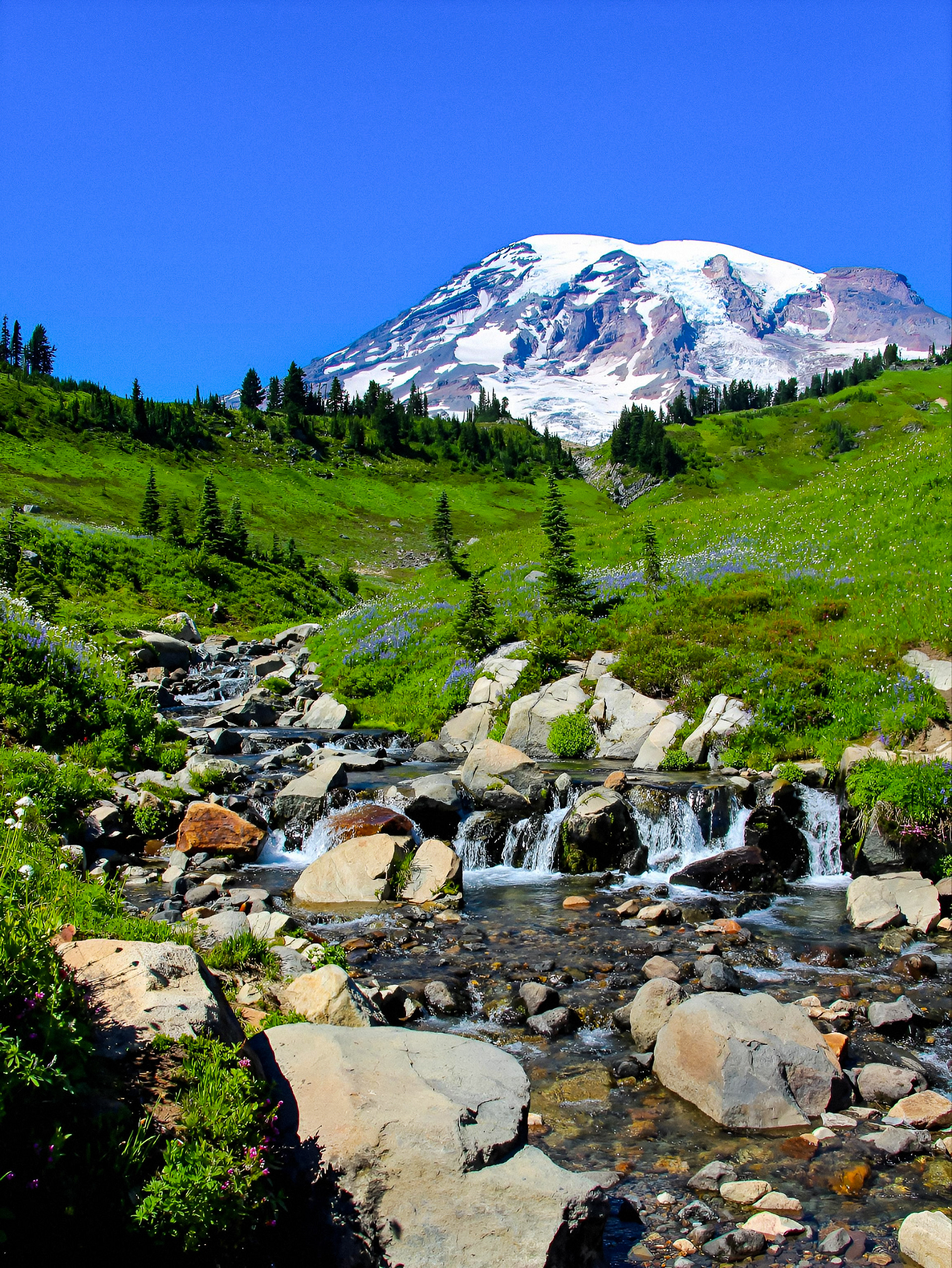Mt. Rainier & Edith Creek (WA)