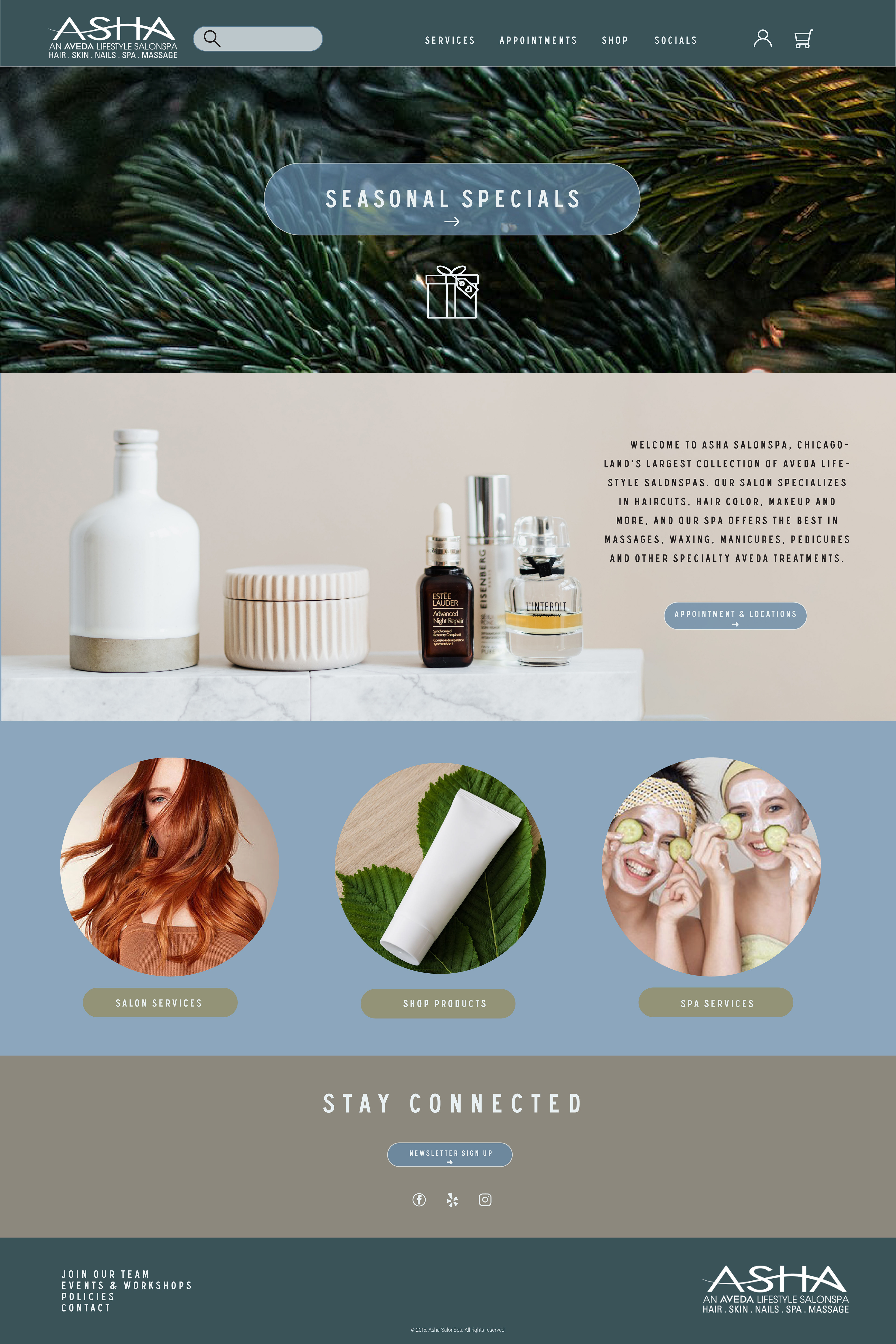 Web Re- Design Project: Asha Salon