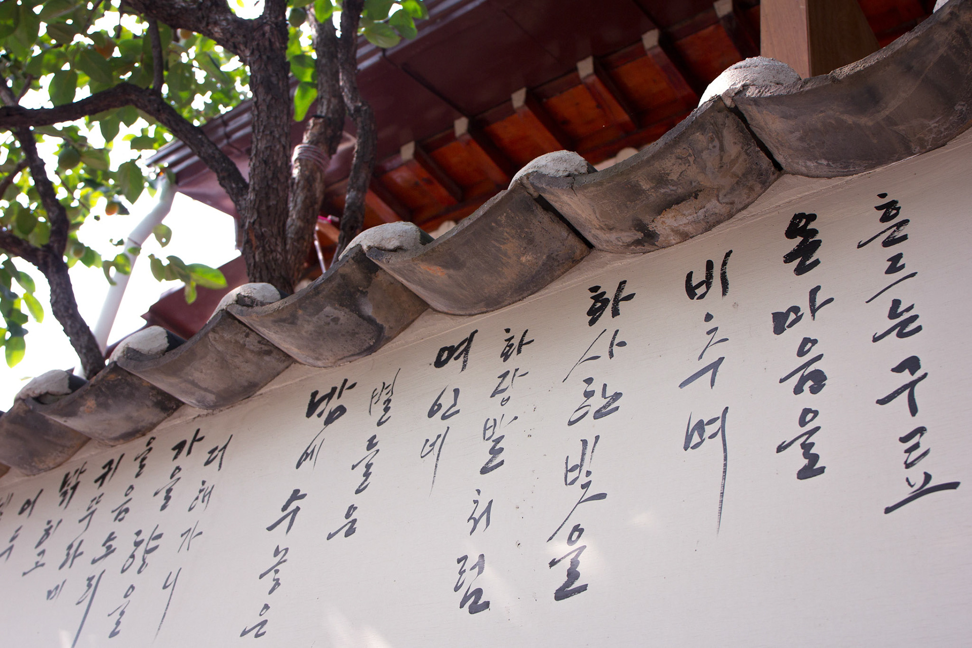 500px Photo ID: 83468113 -