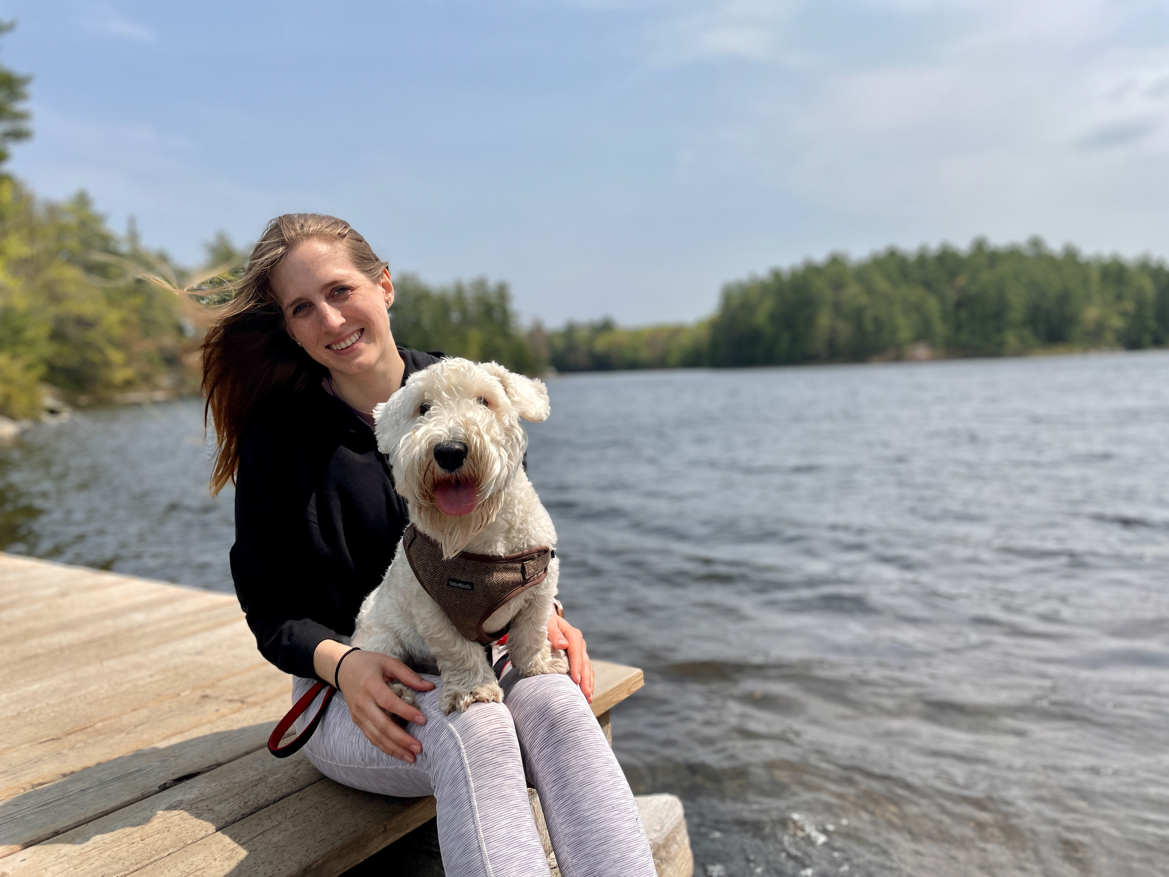 Sir Winston the Sealyham Terrier