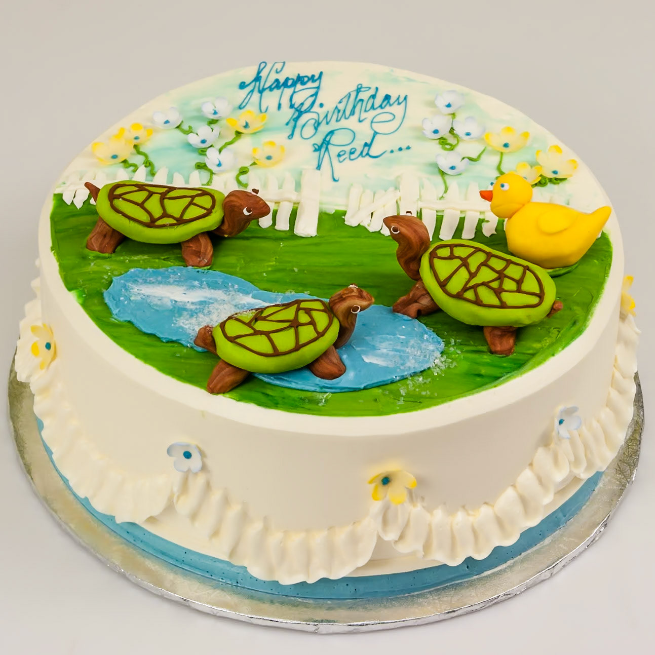 Spring Turtles Cake