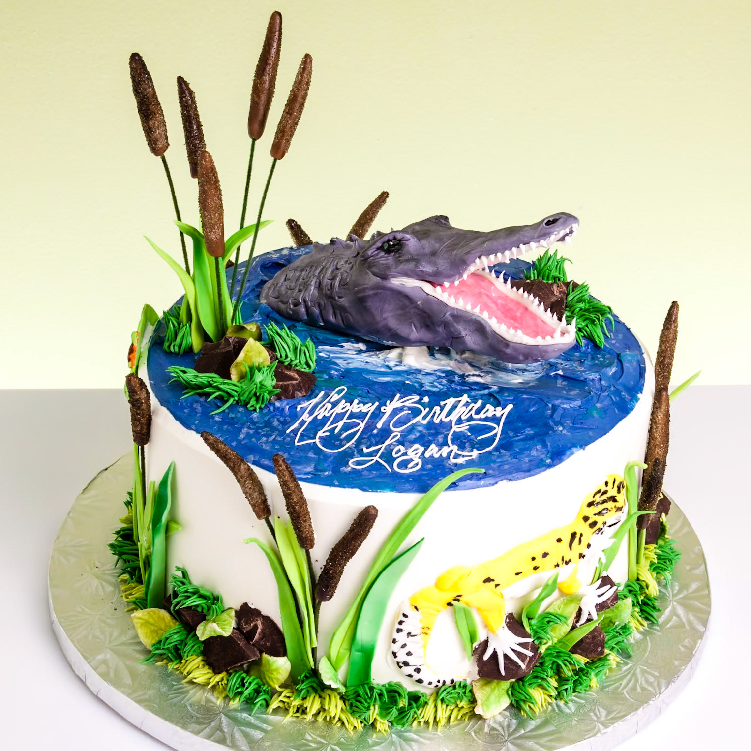 Alligator & Gecko Cake