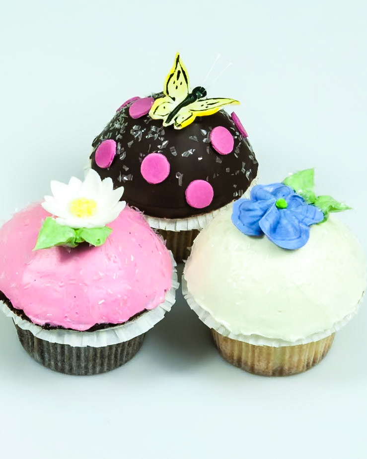 Springtime Fun Cupcakes