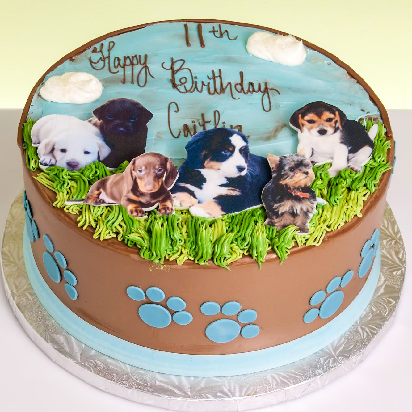 Puppy Play Cake