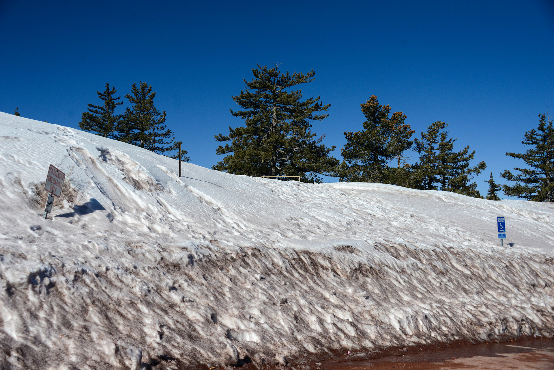 Sandia Crest
