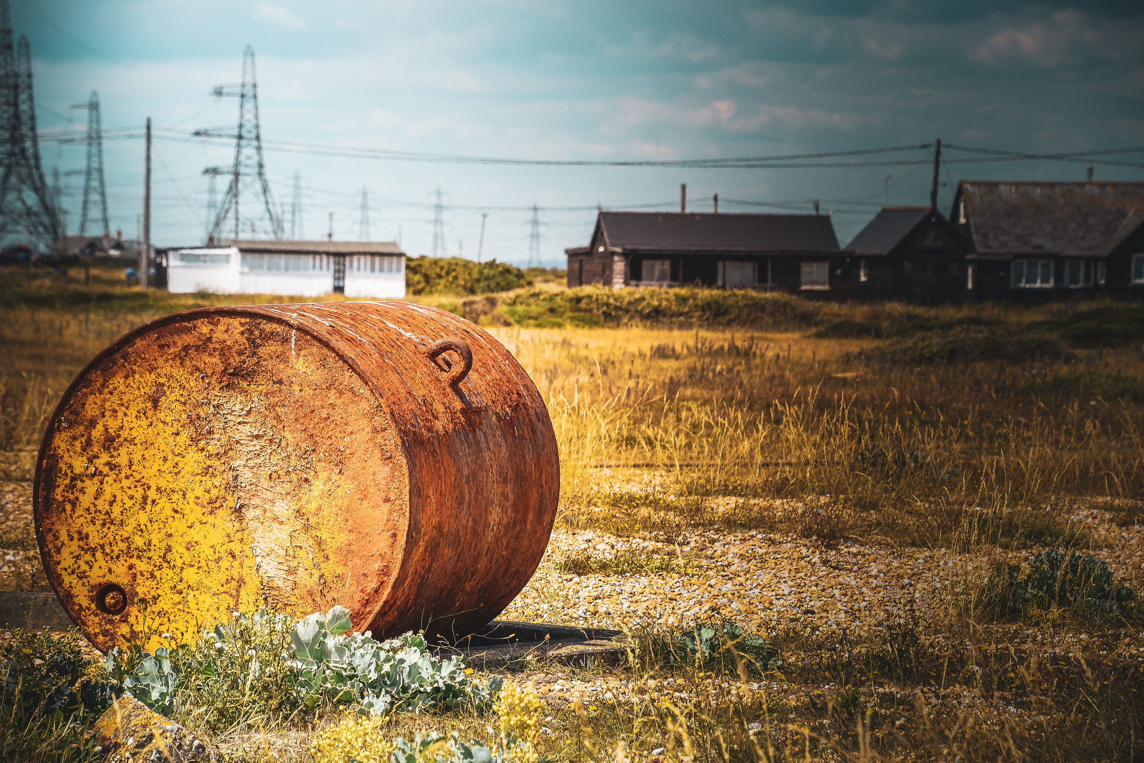 Dungeness