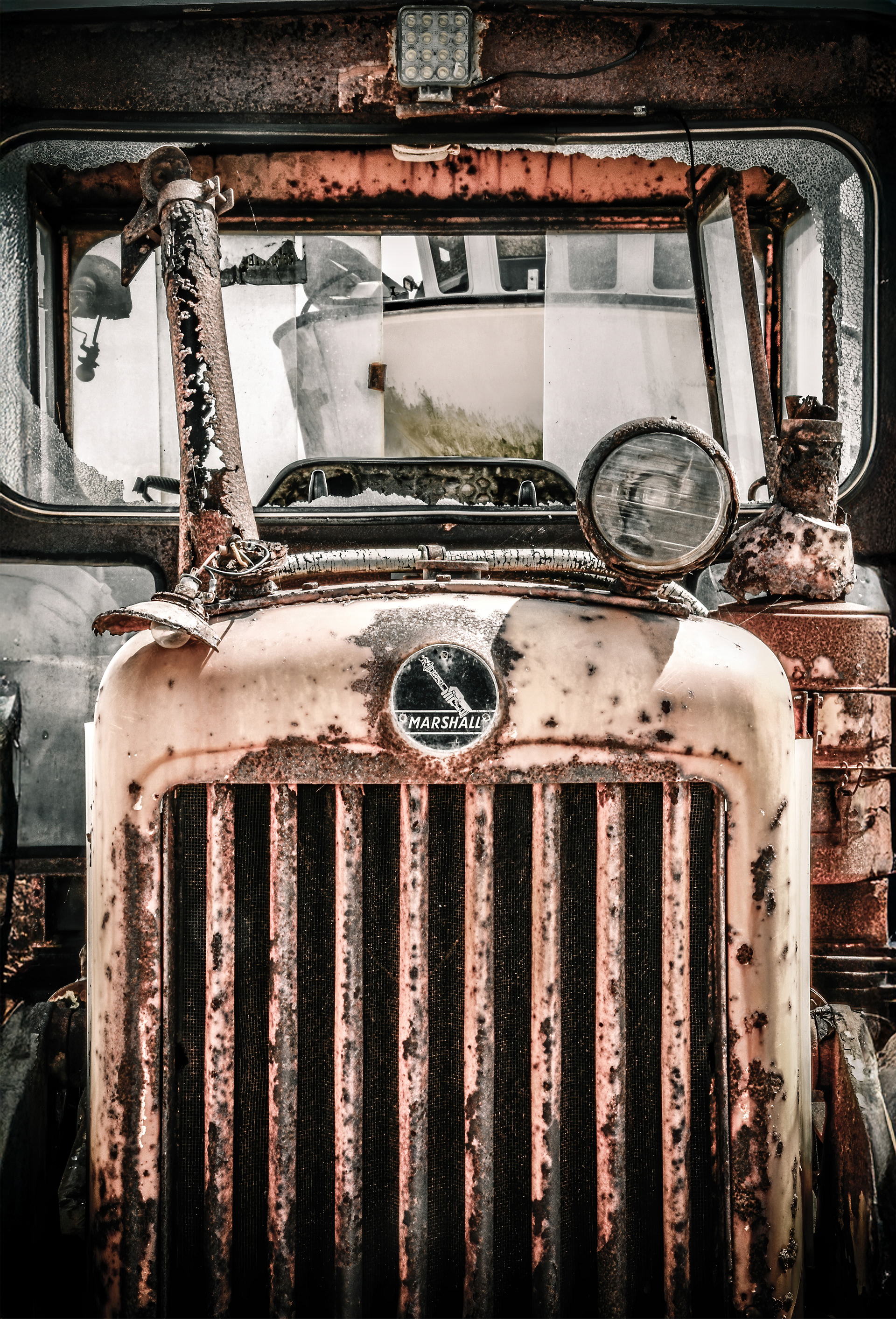 Dungeness