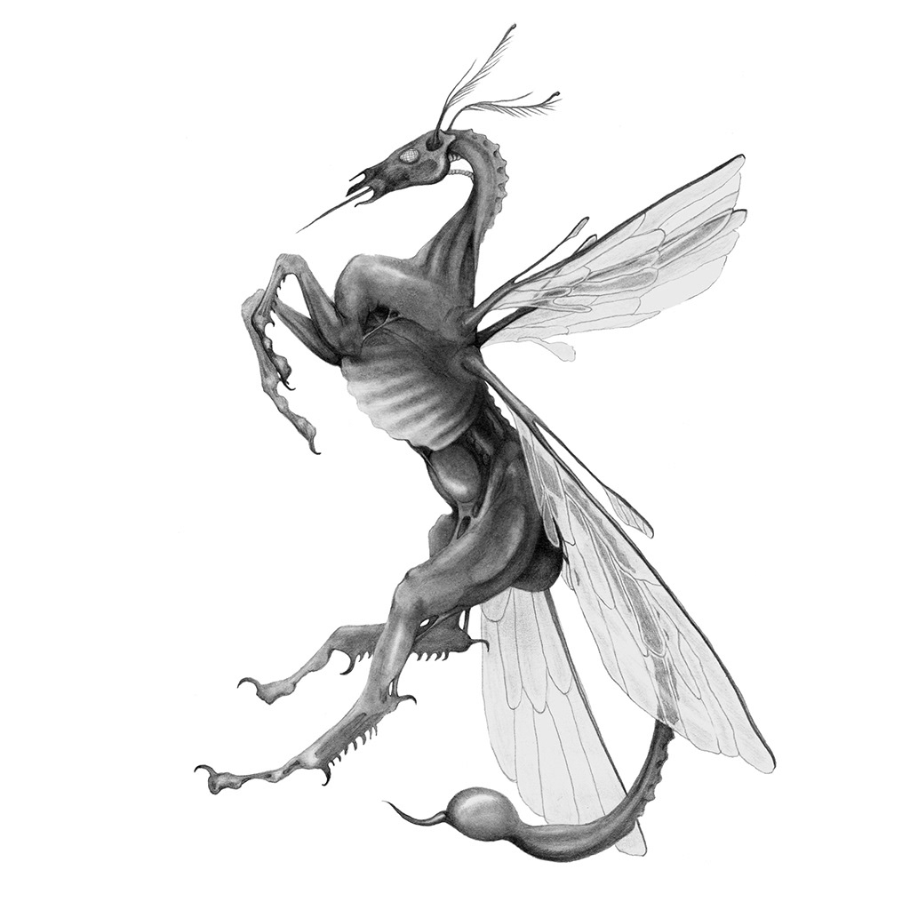 Dragonfly Horse