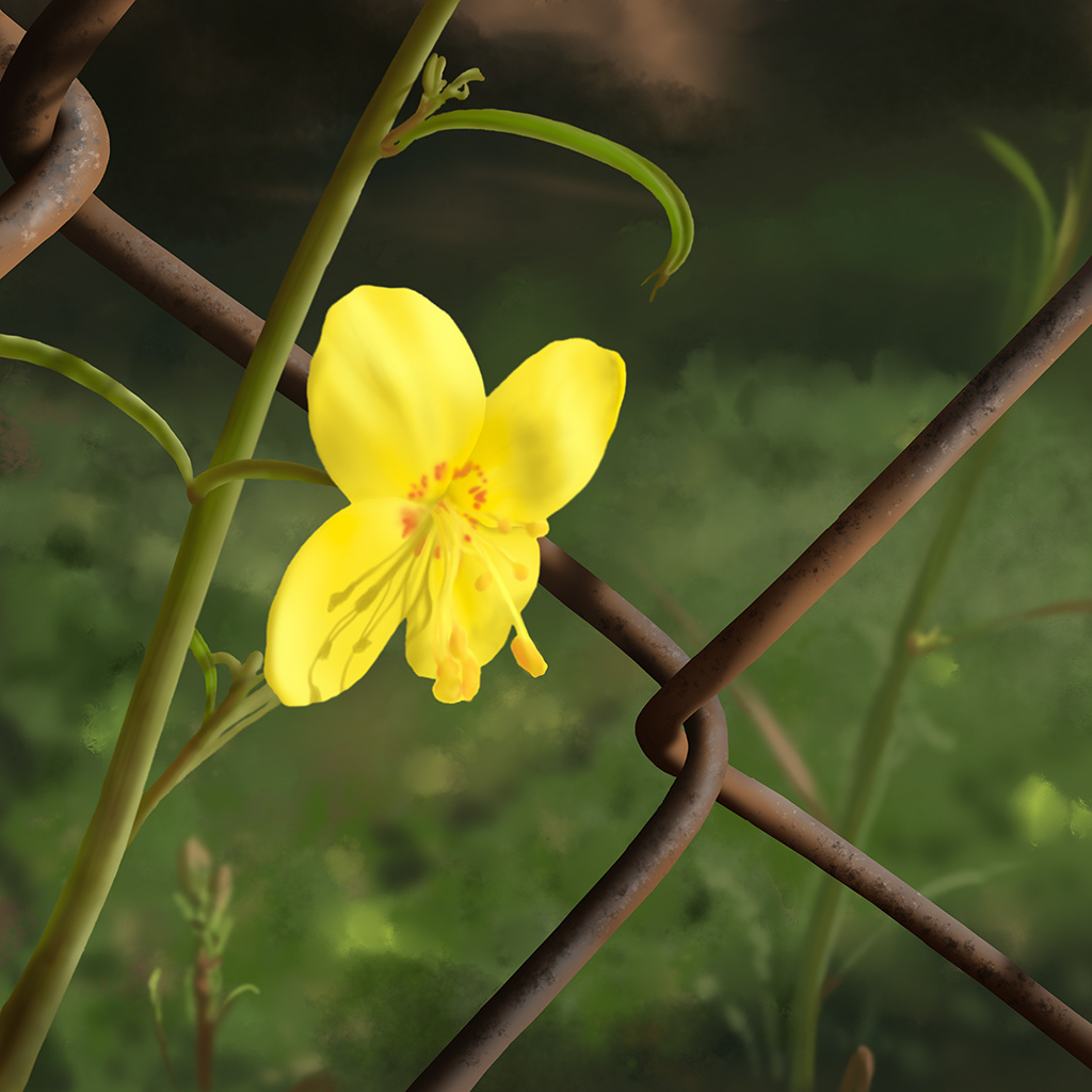 Wildflower: #12