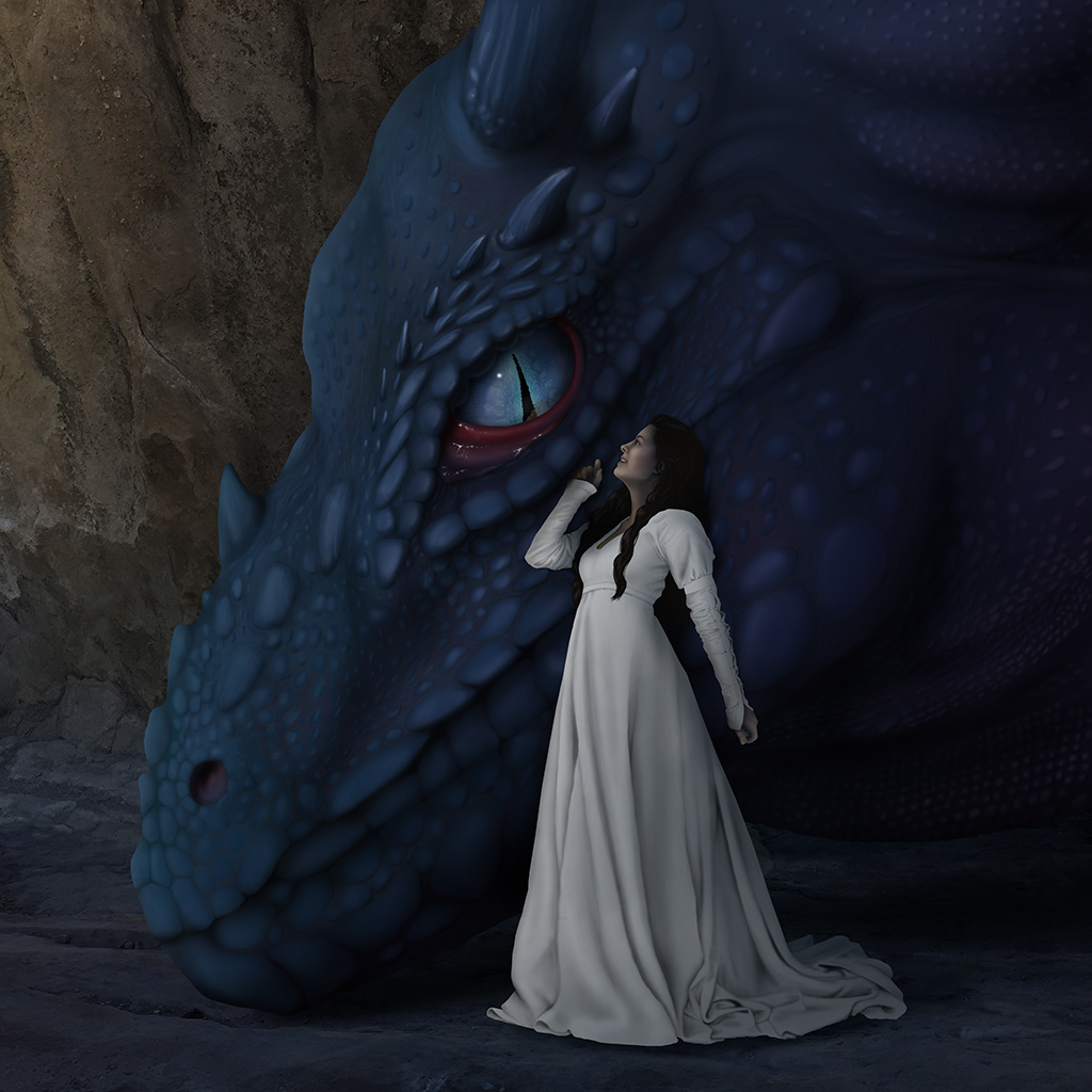 Dragon and Princess
