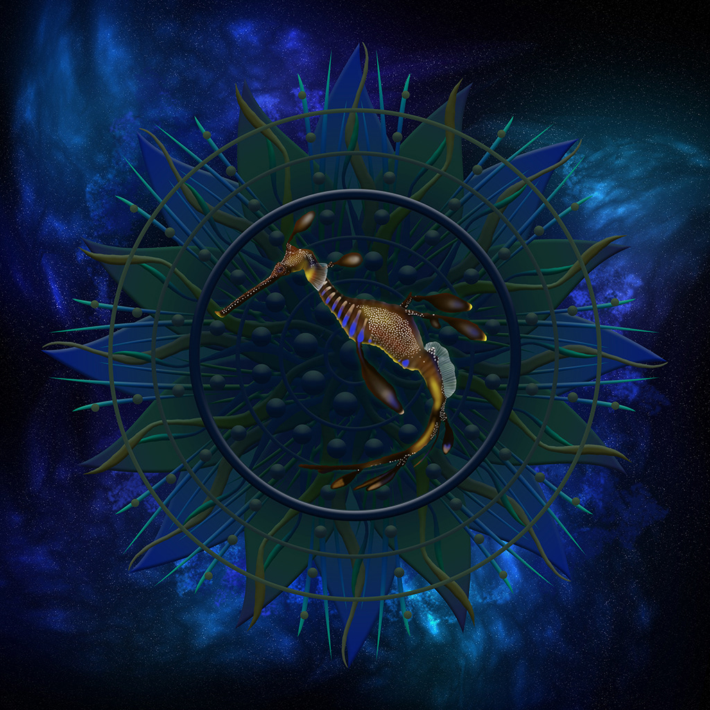 Seadragon