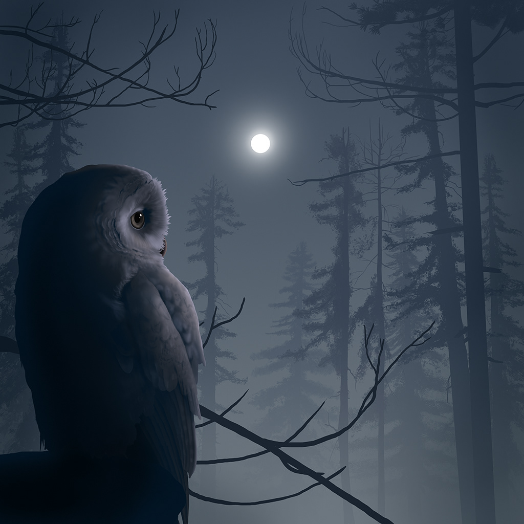 Nighttime: #9