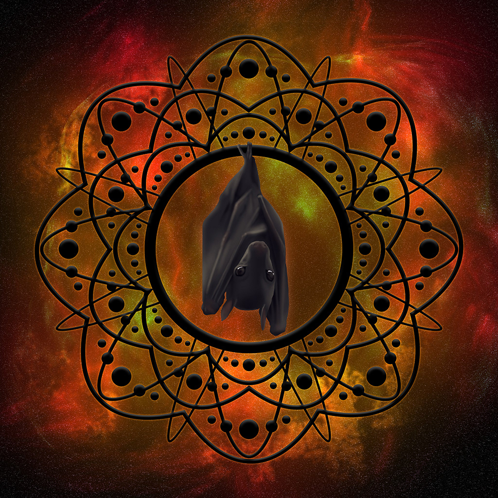 Bat